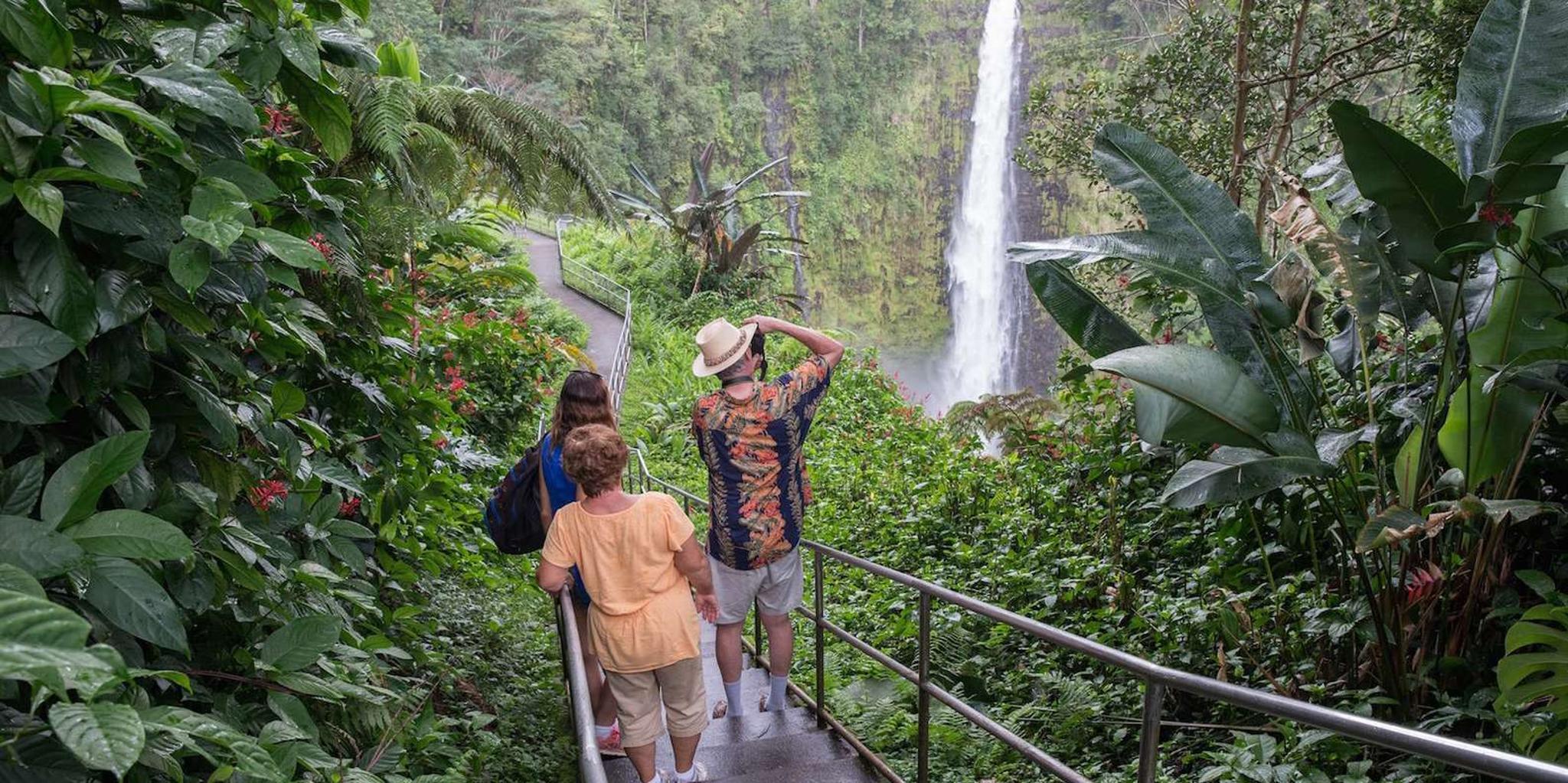 Big Island Waterfall Tour with Botanical Garden