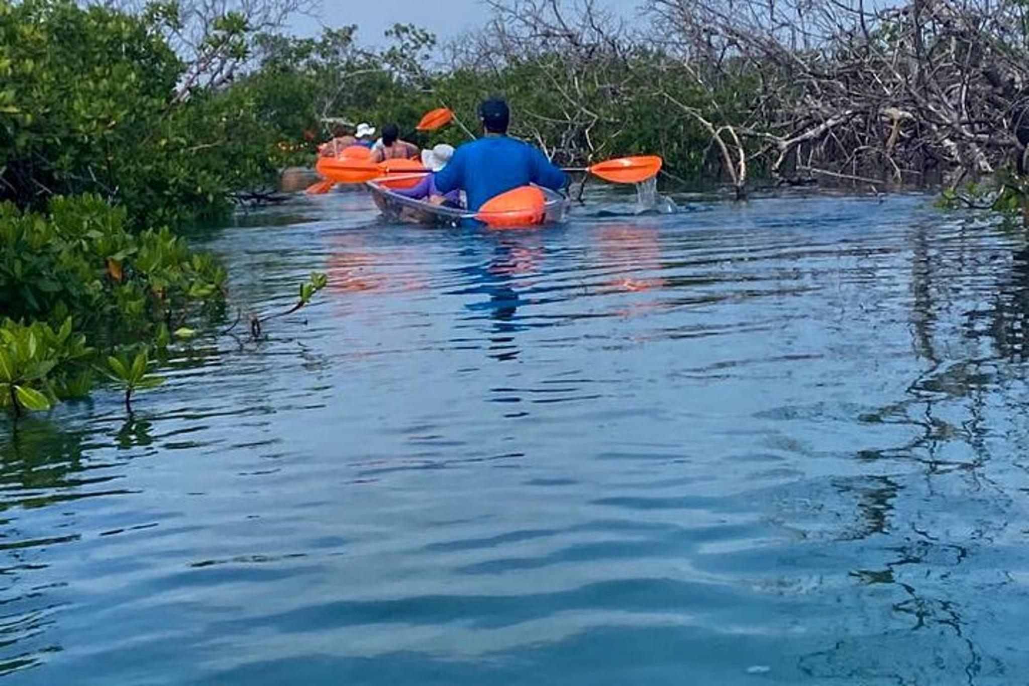 Grand Bahama Clear Kayak Tour - Image 3