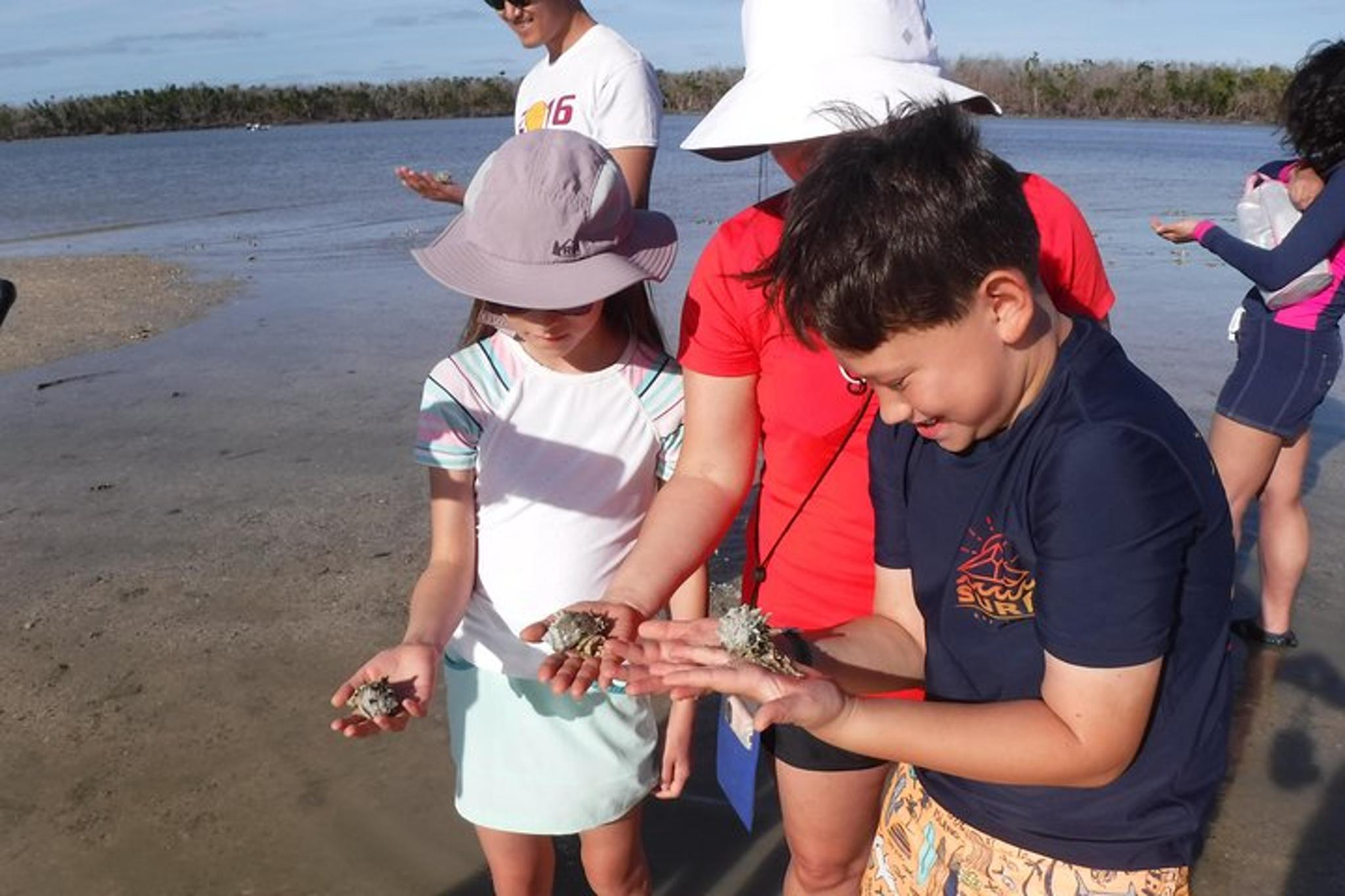 10,000 Islands Shelling Boat Tour - Image 2
