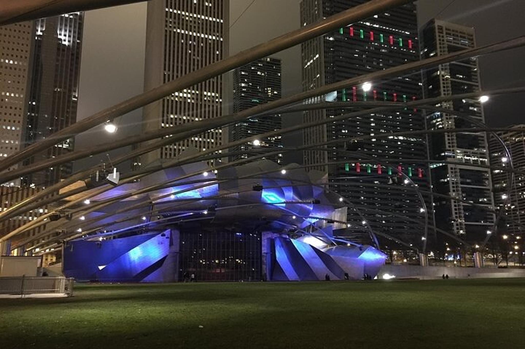 Chicago Private City Tour - Image 3