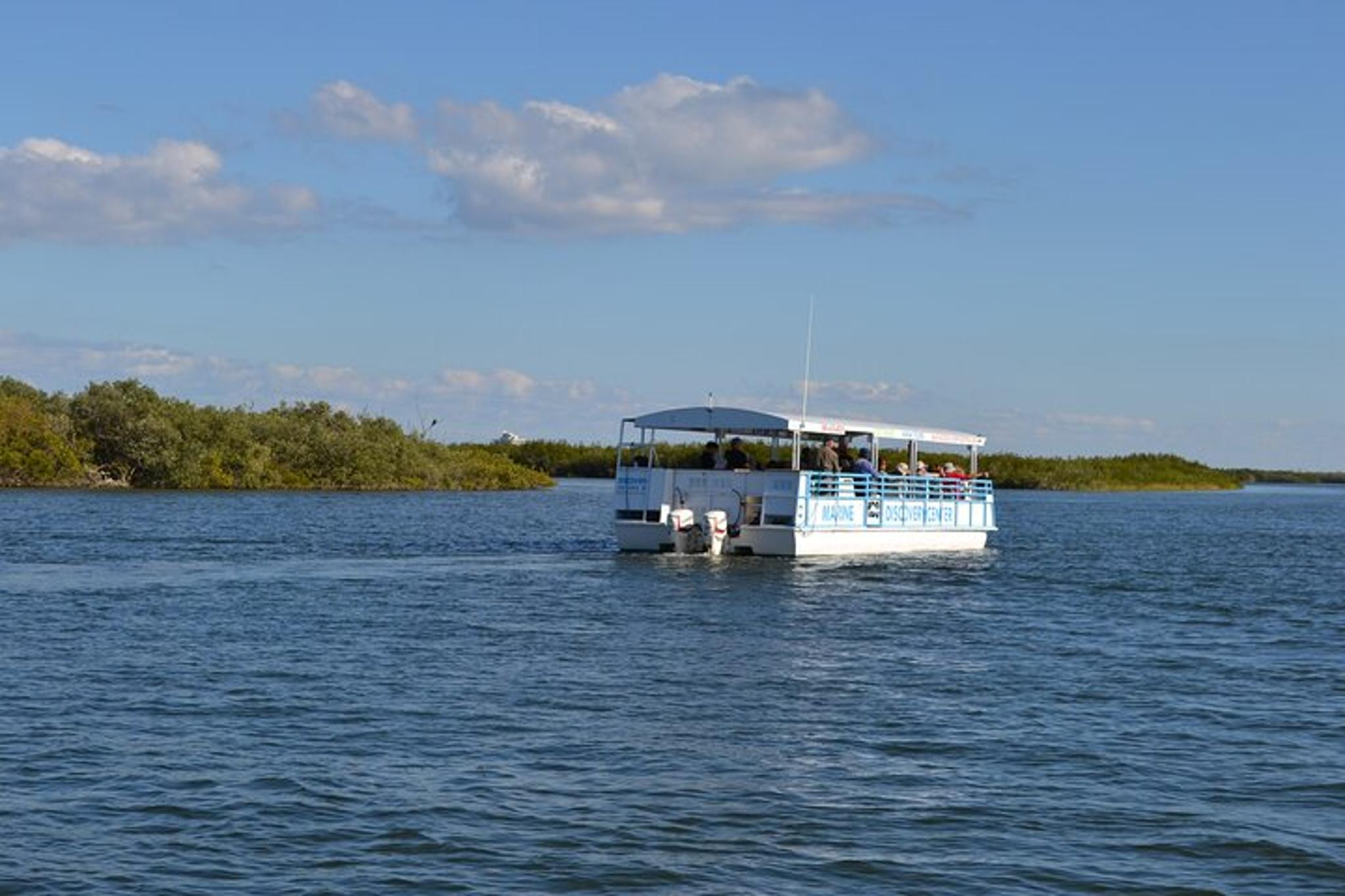 Indian River Lagoon Dolphin Boat Tour - Image 3