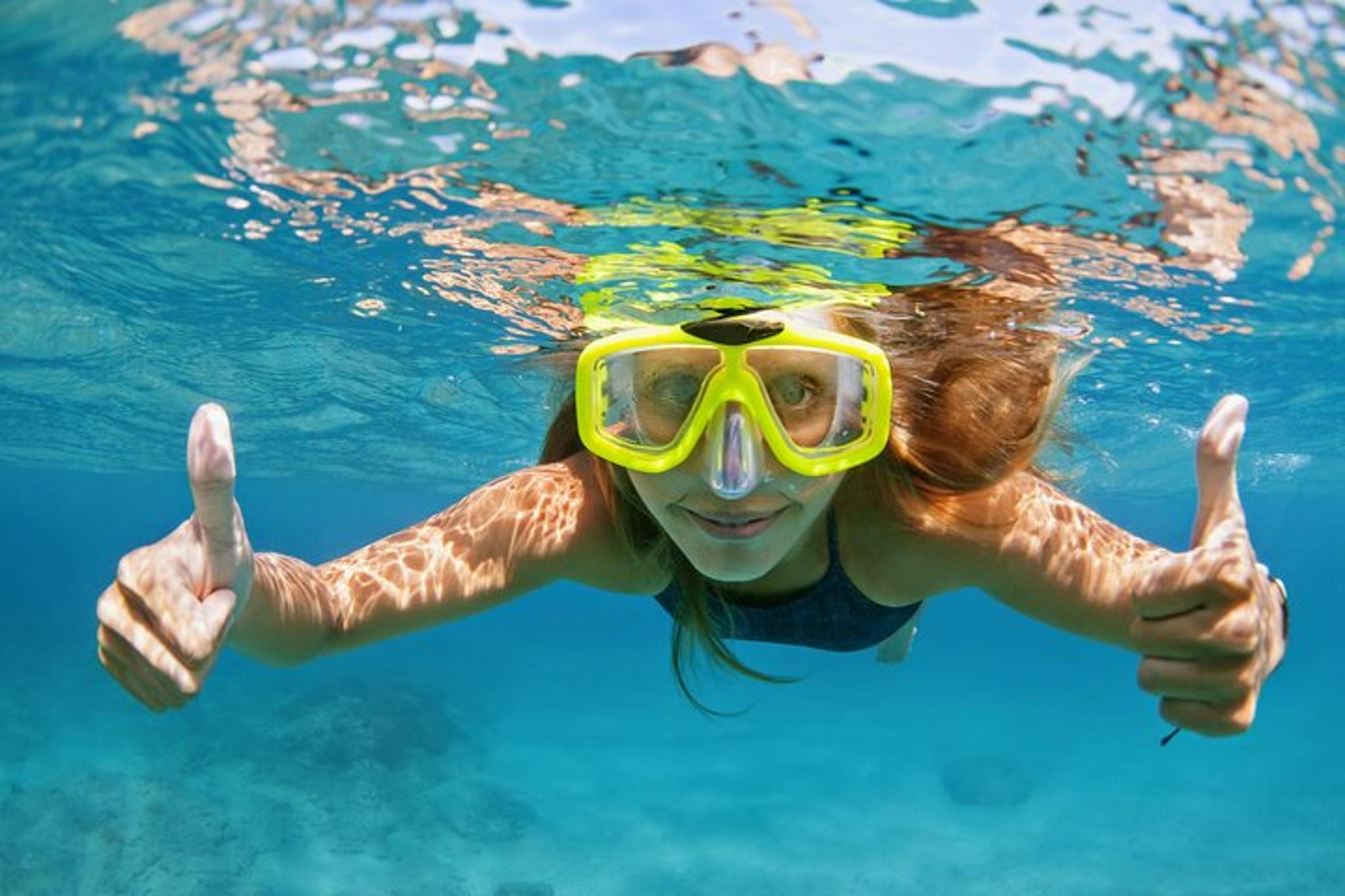 Destin Snorkeling and Dolphin Watching Experience - Image 5