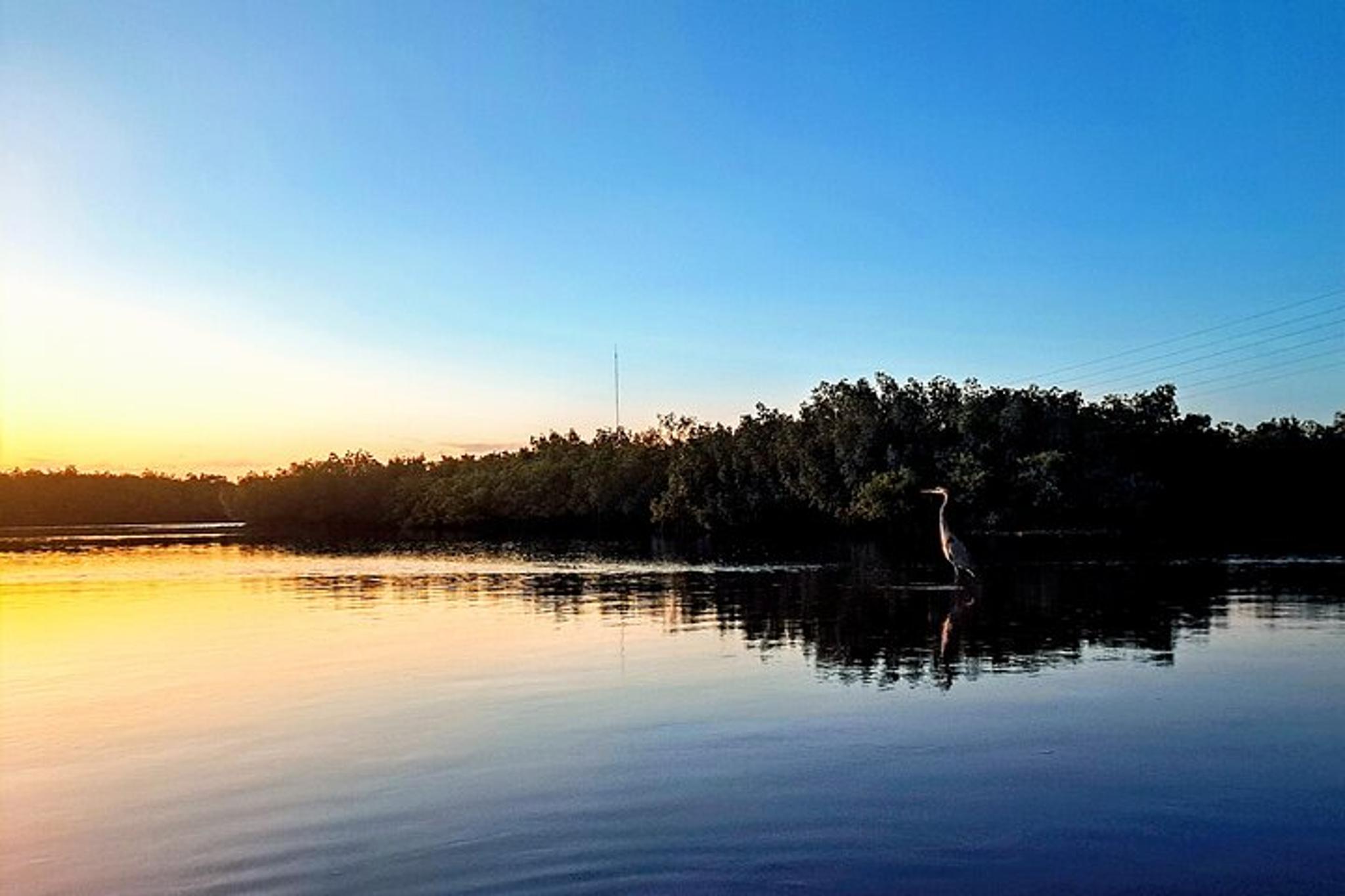 Tarpon Springs Kayak Tour at Sunset and Night