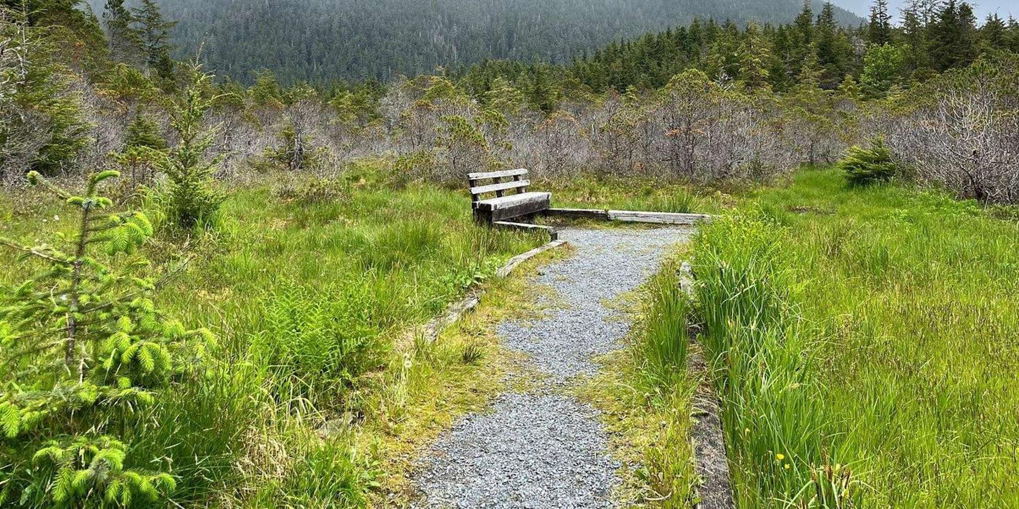 Sitka Tongass National Forest Guided Hike 2 hr - Image 4