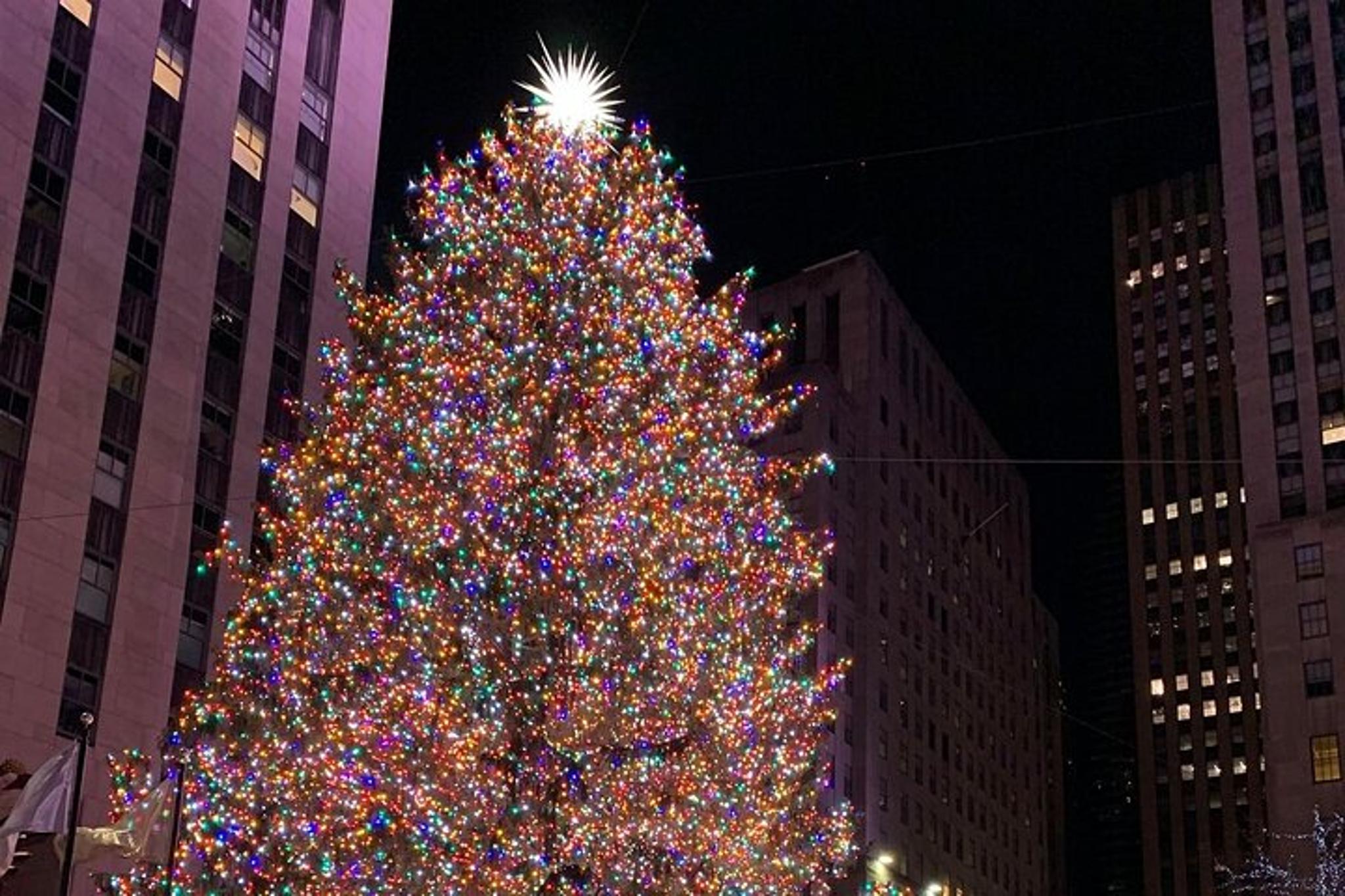 New York Holiday Lights Walking Tour - Image 3