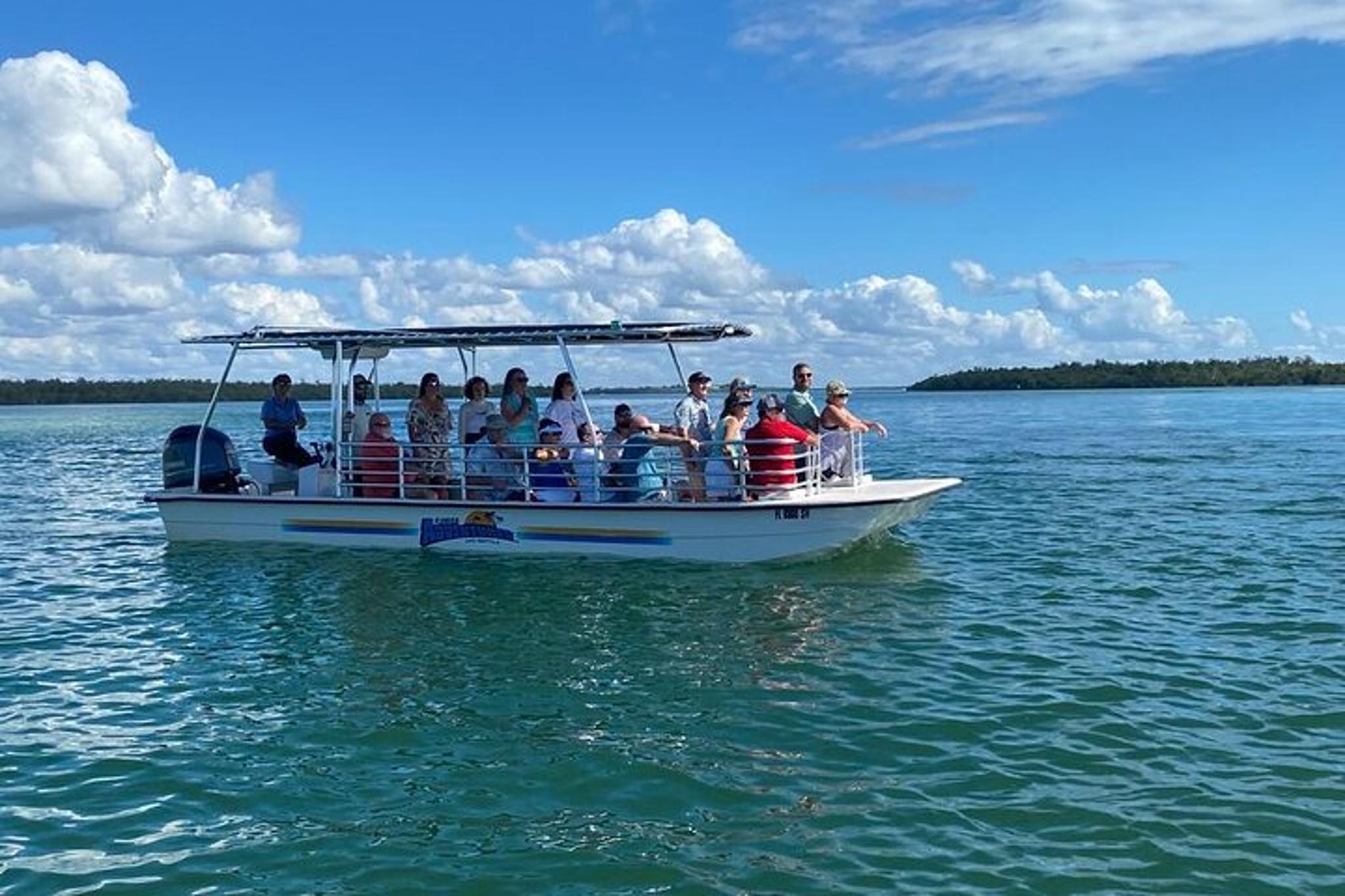 Marco Island Dolphin Sightseeing Tour 2 hr - Image 4