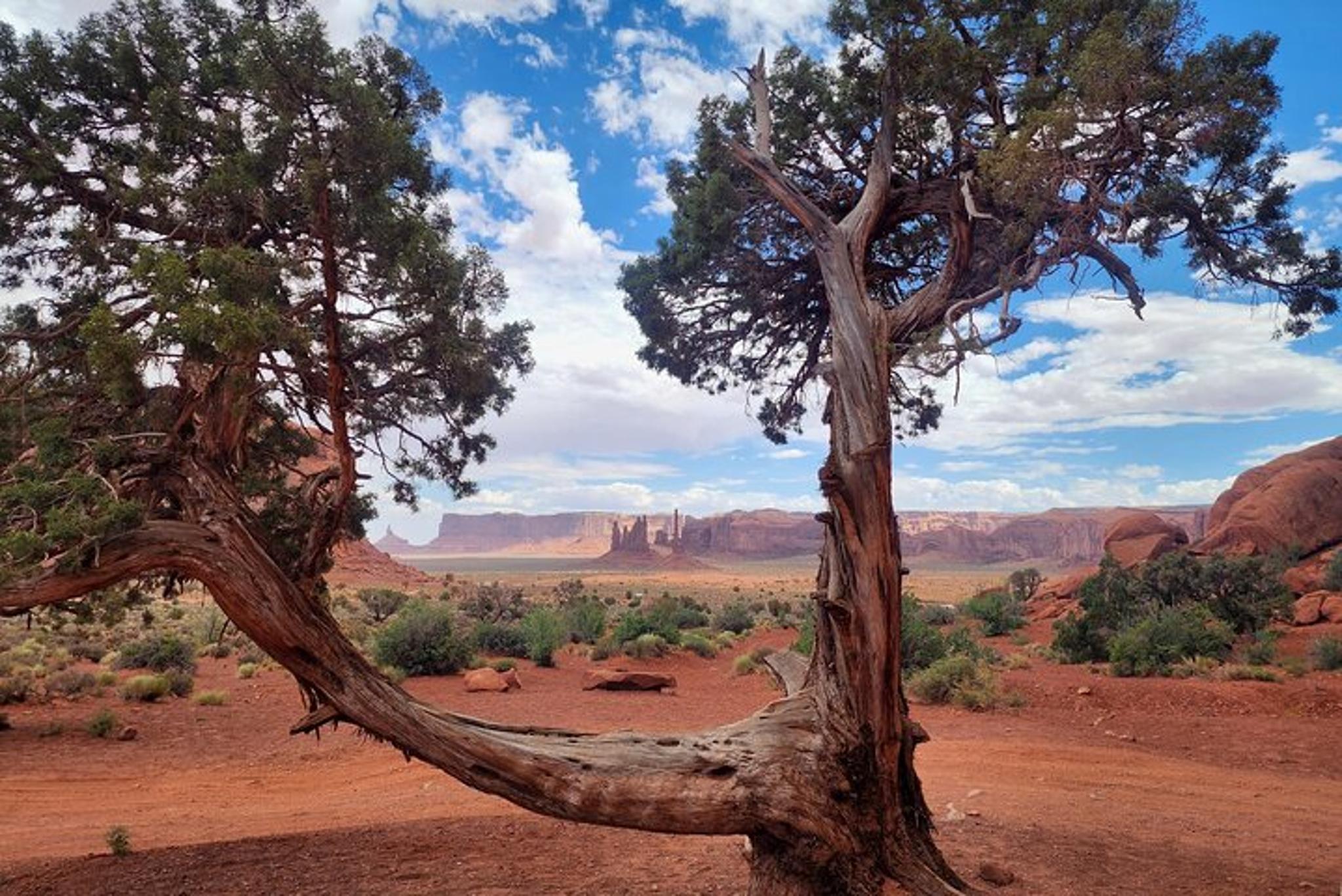 Monument Valley Scenic Drive & Audio Tour Bundle - Image 6