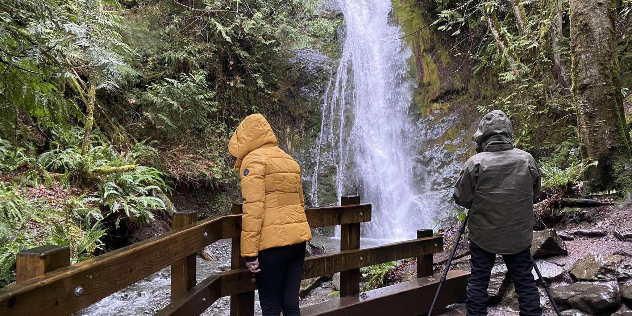 Olympic National Park Half-Day Tour - Image 2