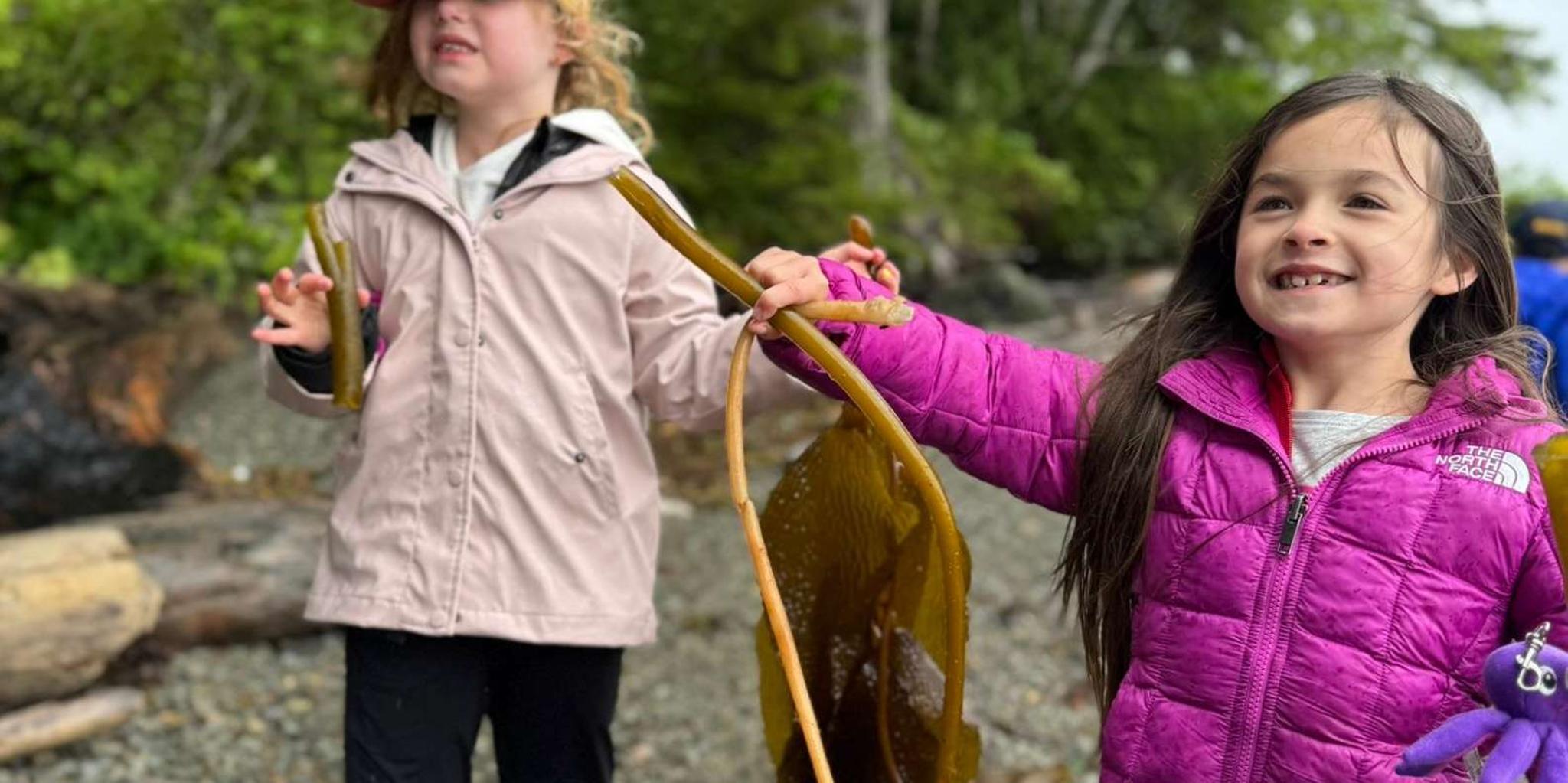 Ketchikan Private Rainforest and Wildlife Tour - Image 4