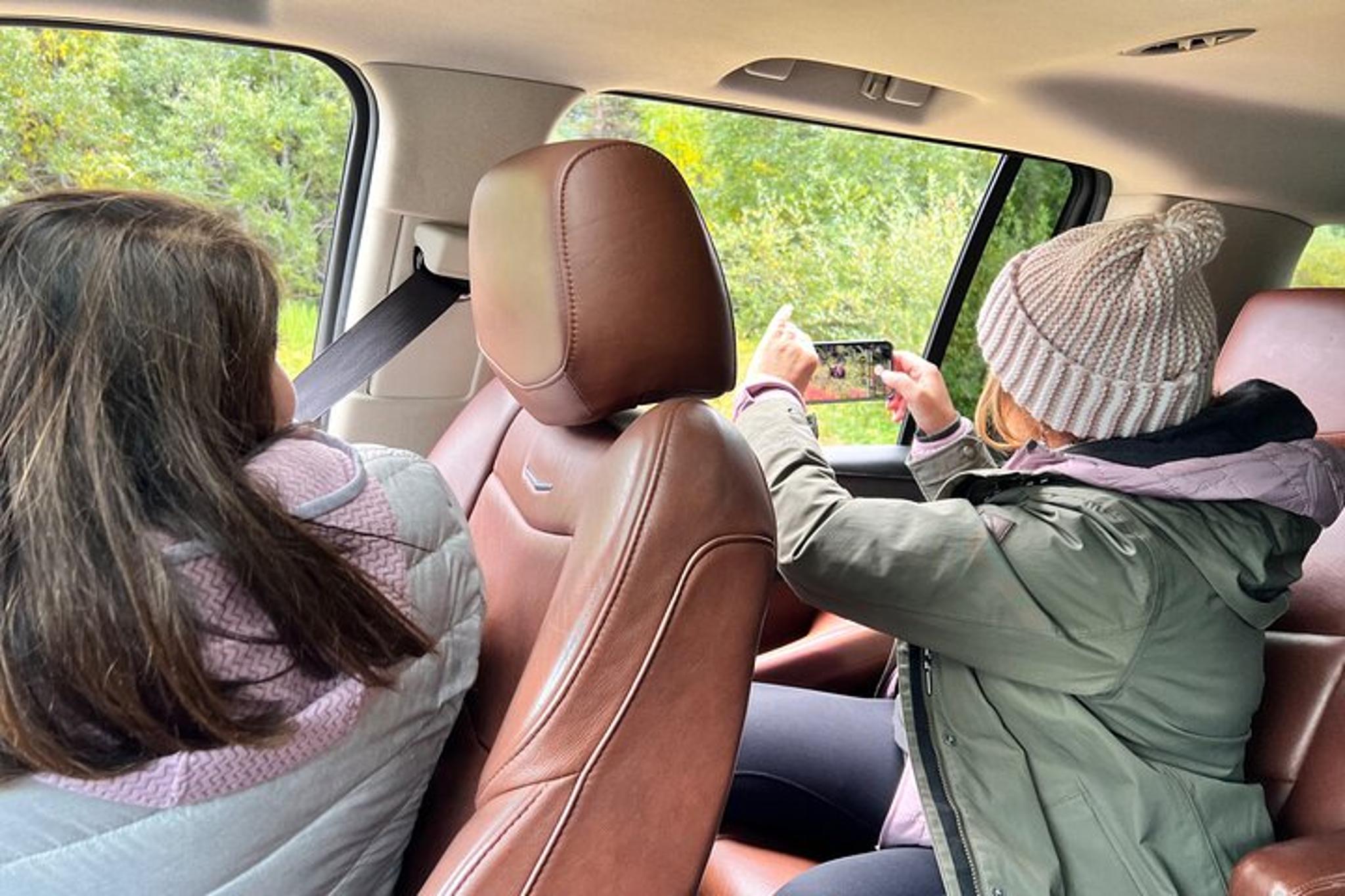 Skagway Shore Excursion to Emerald Lake - Image 1