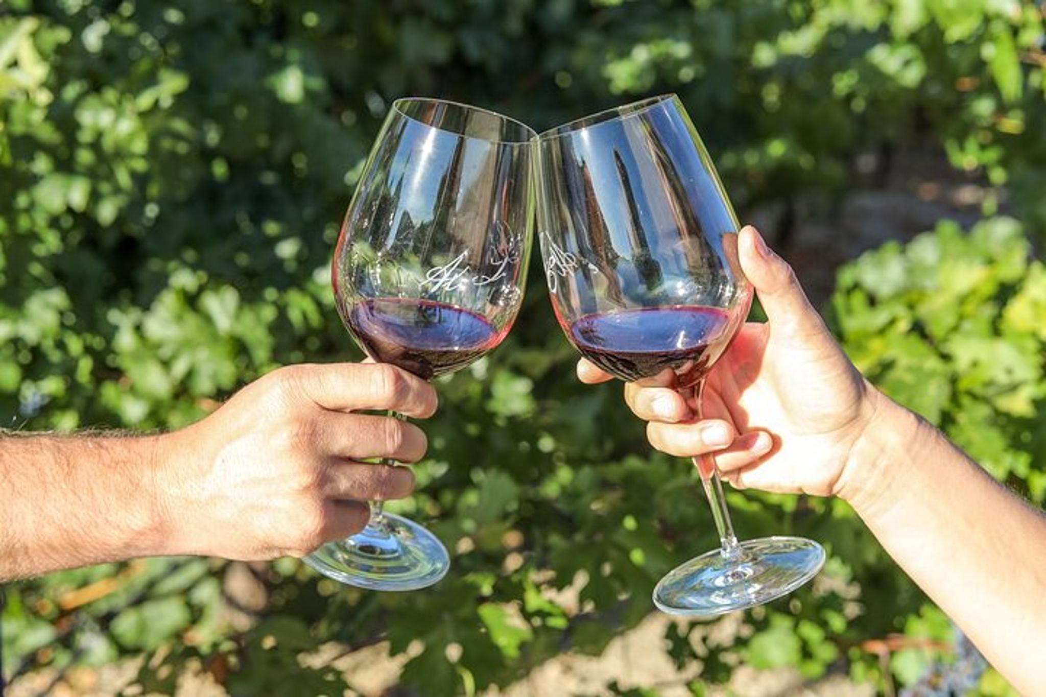 Paso Robles Wine Tasting Flight - Image 4