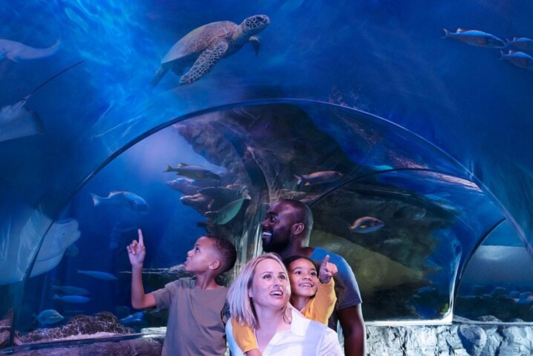 Grapevine SEA LIFE Aquarium Admission - Image 1