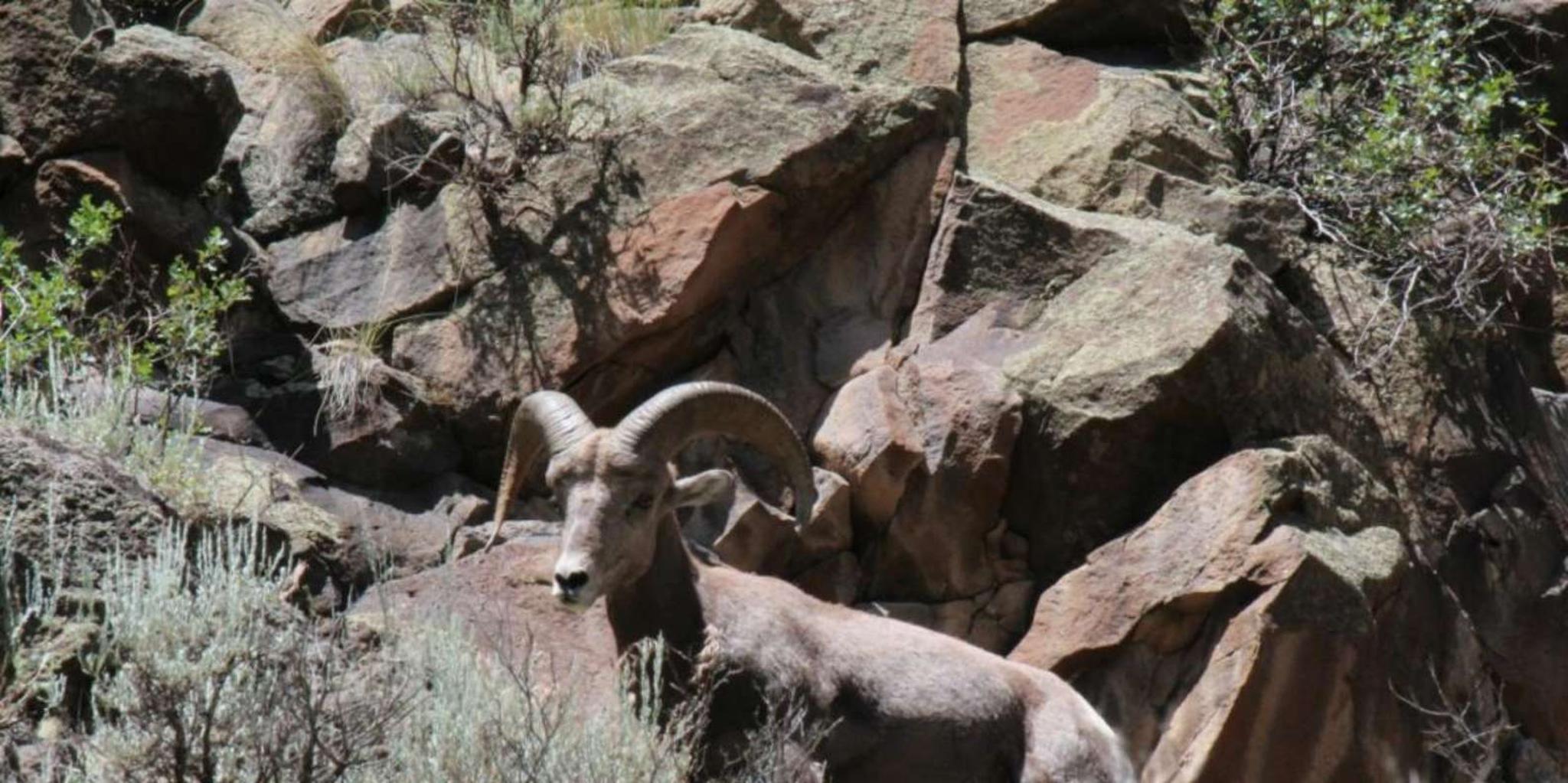 Taos Rio Grande Float Trip - Image 3
