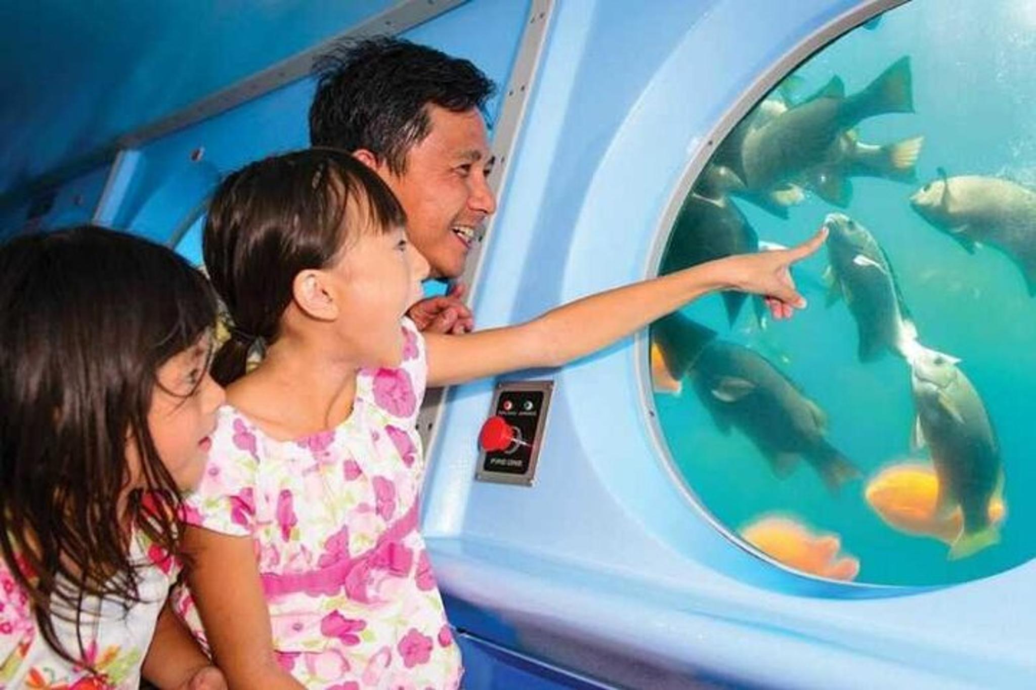 Avalon Semi-Submarine Tour on Catalina Island - Image 4