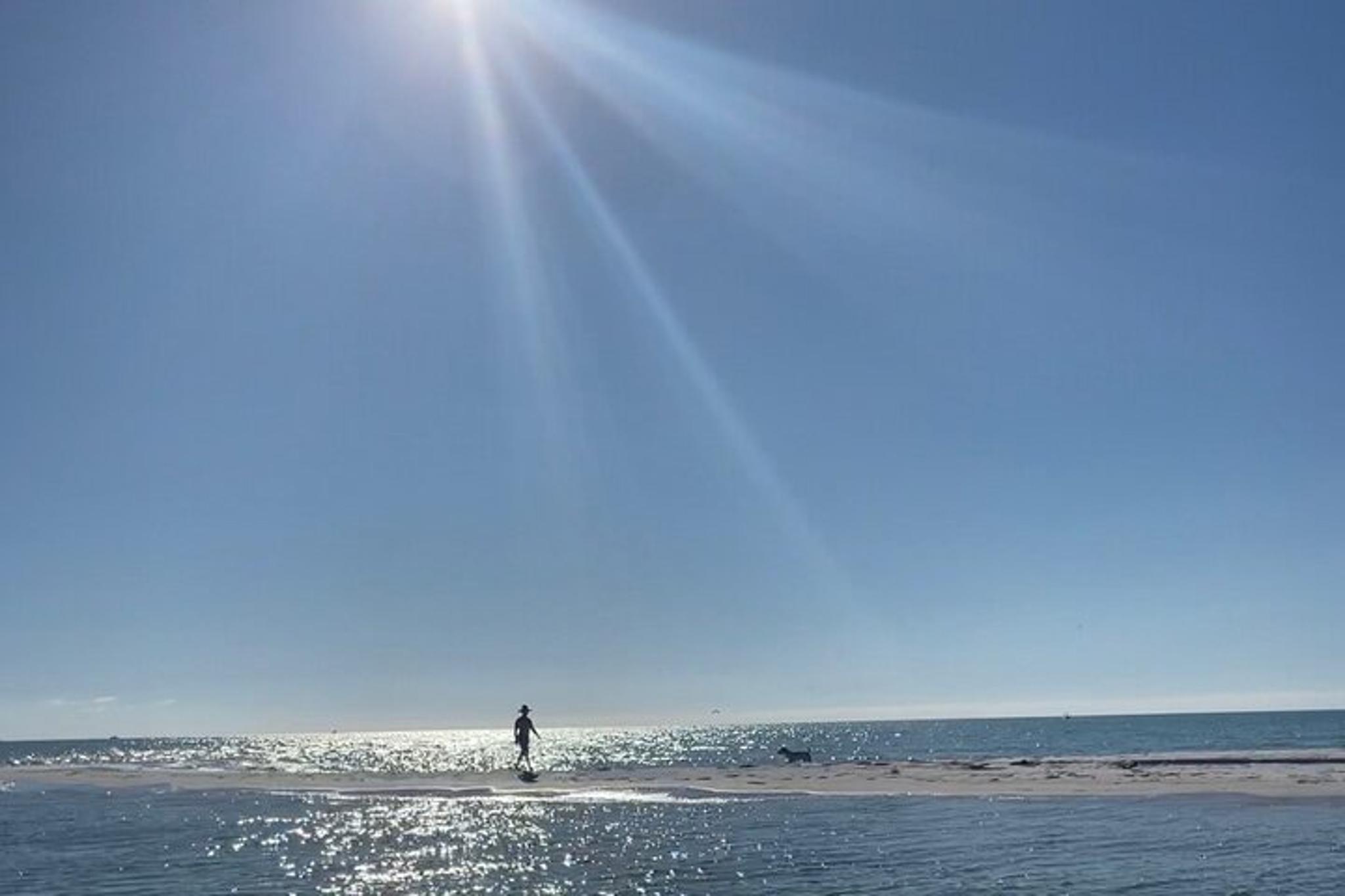 Anna Maria Island Sandbar Tour 2 hr - Image 6