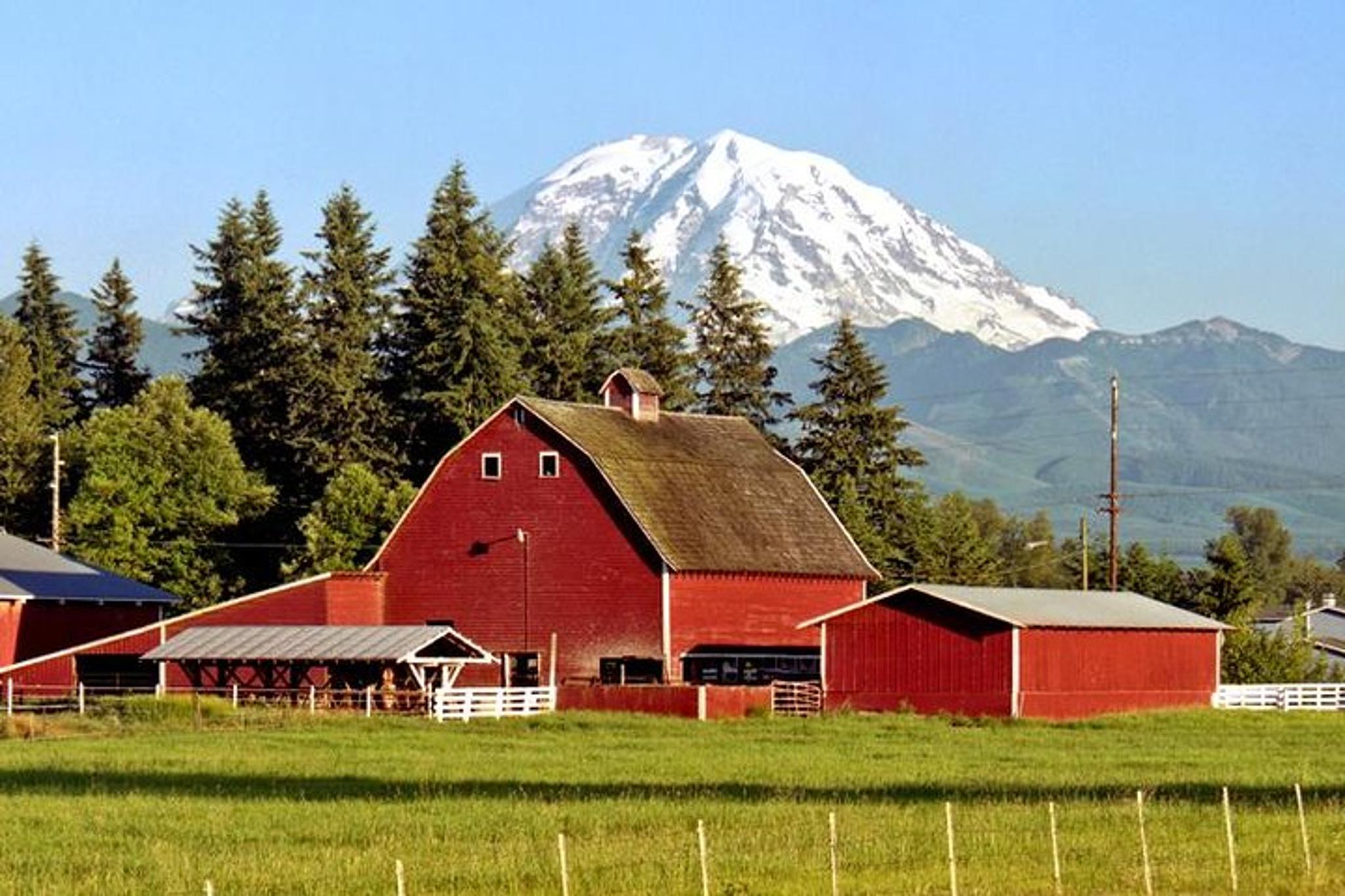 Seattle Mt Rainier National Park Private Day Trip - Image 3