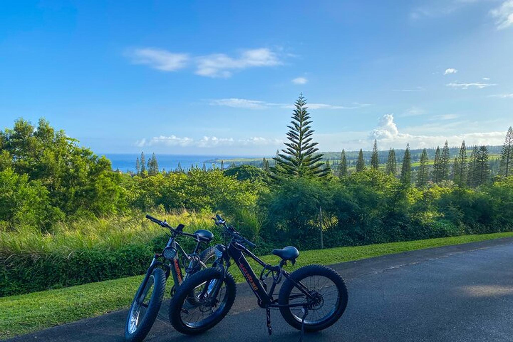 Maui Electric Bike Rentals - Image 6