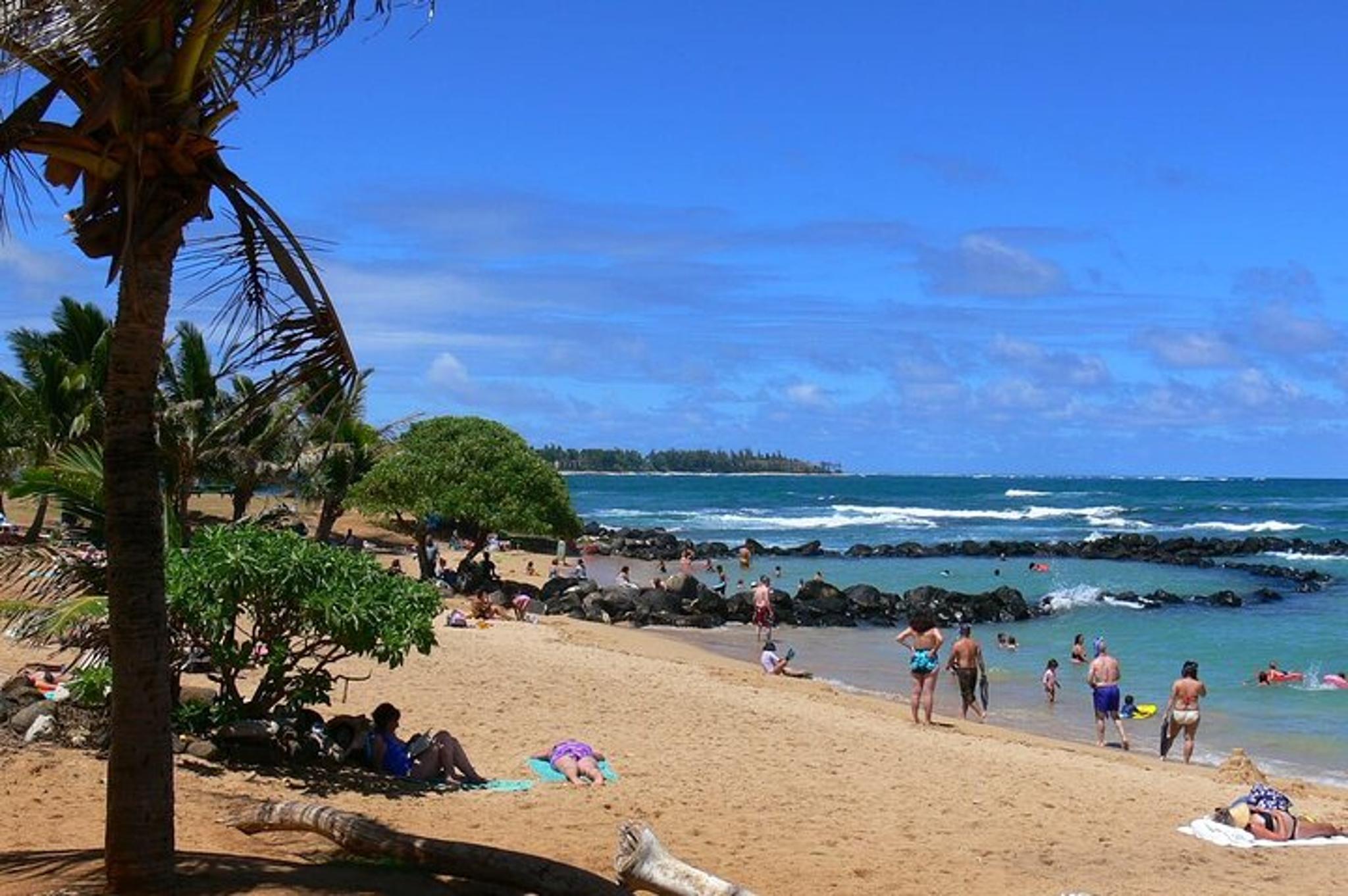 Kauai Waterfalls and Local Grinds Tour - Image 6