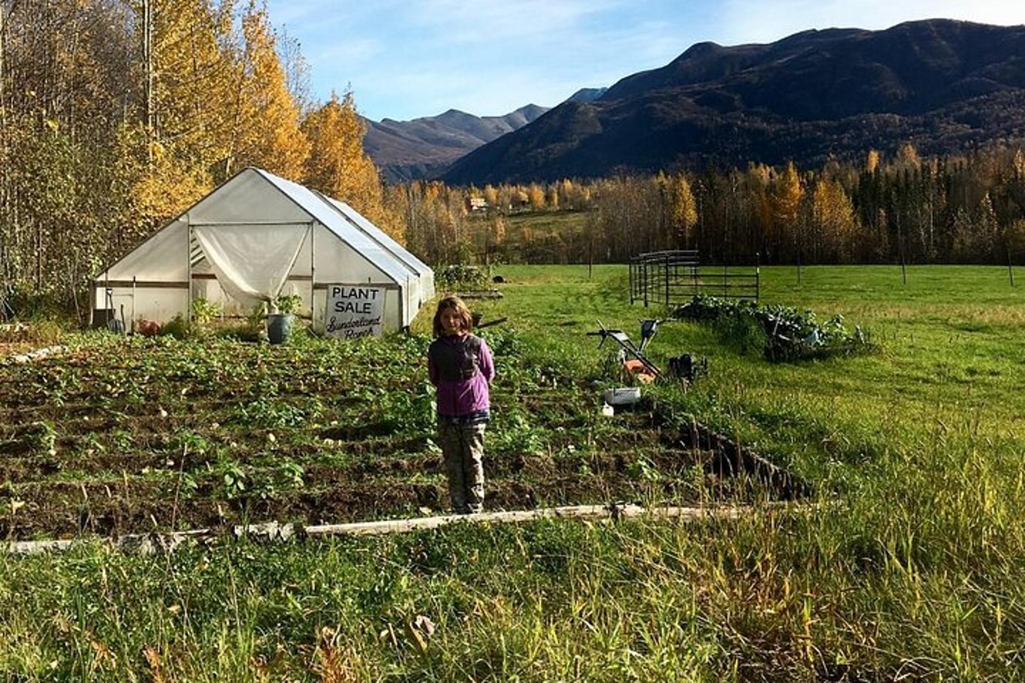 Alaska Zipline and Homestead Tour - Image 4