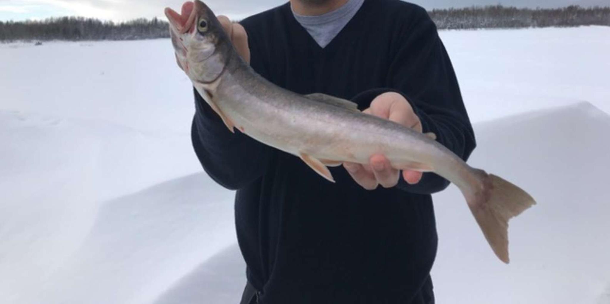Fairbanks Aurora Borealis Ice Fishing Adventure - Image 3