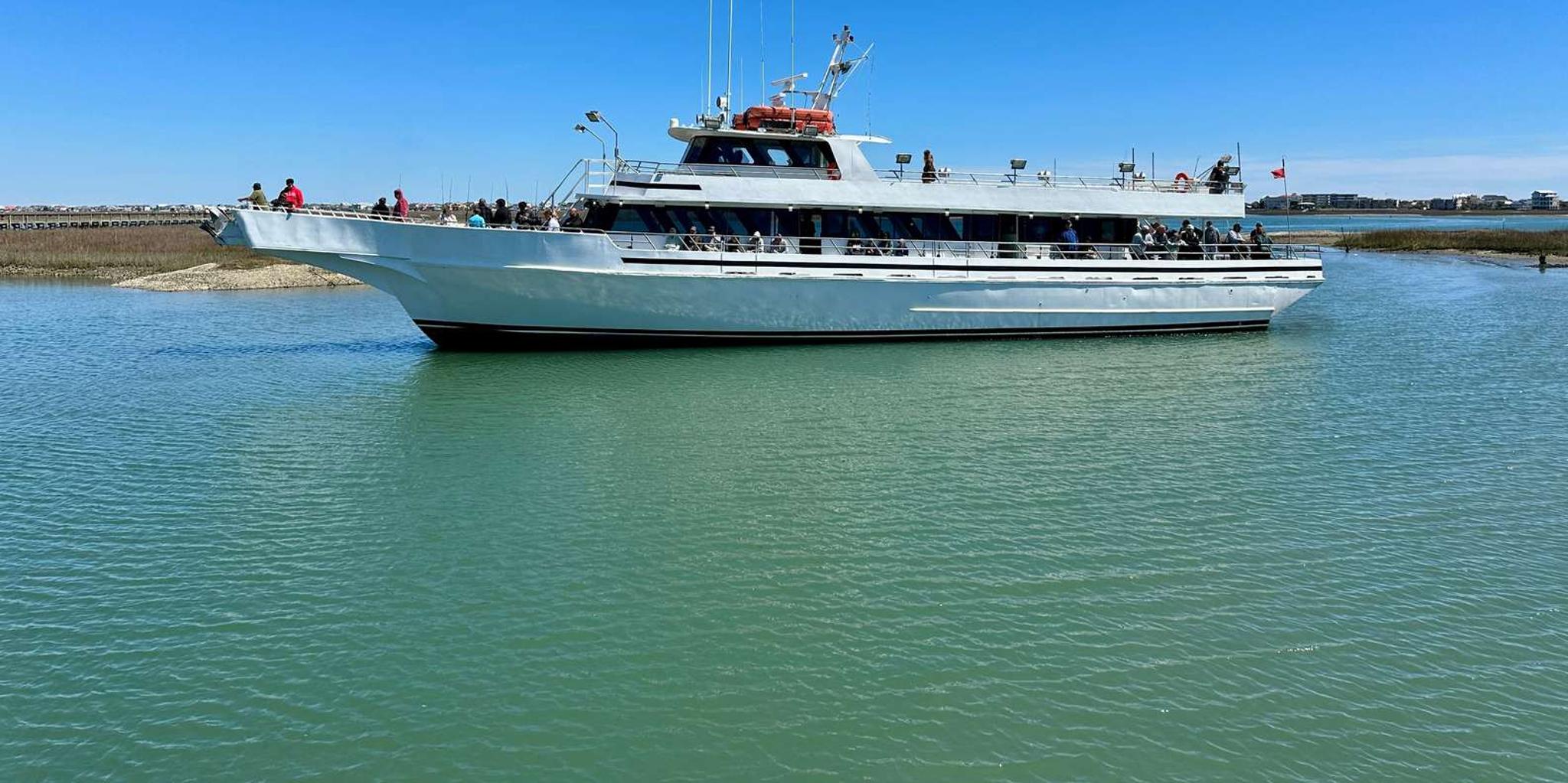 Myrtle Beach Dolphin & Sealife Cruise - Image 5