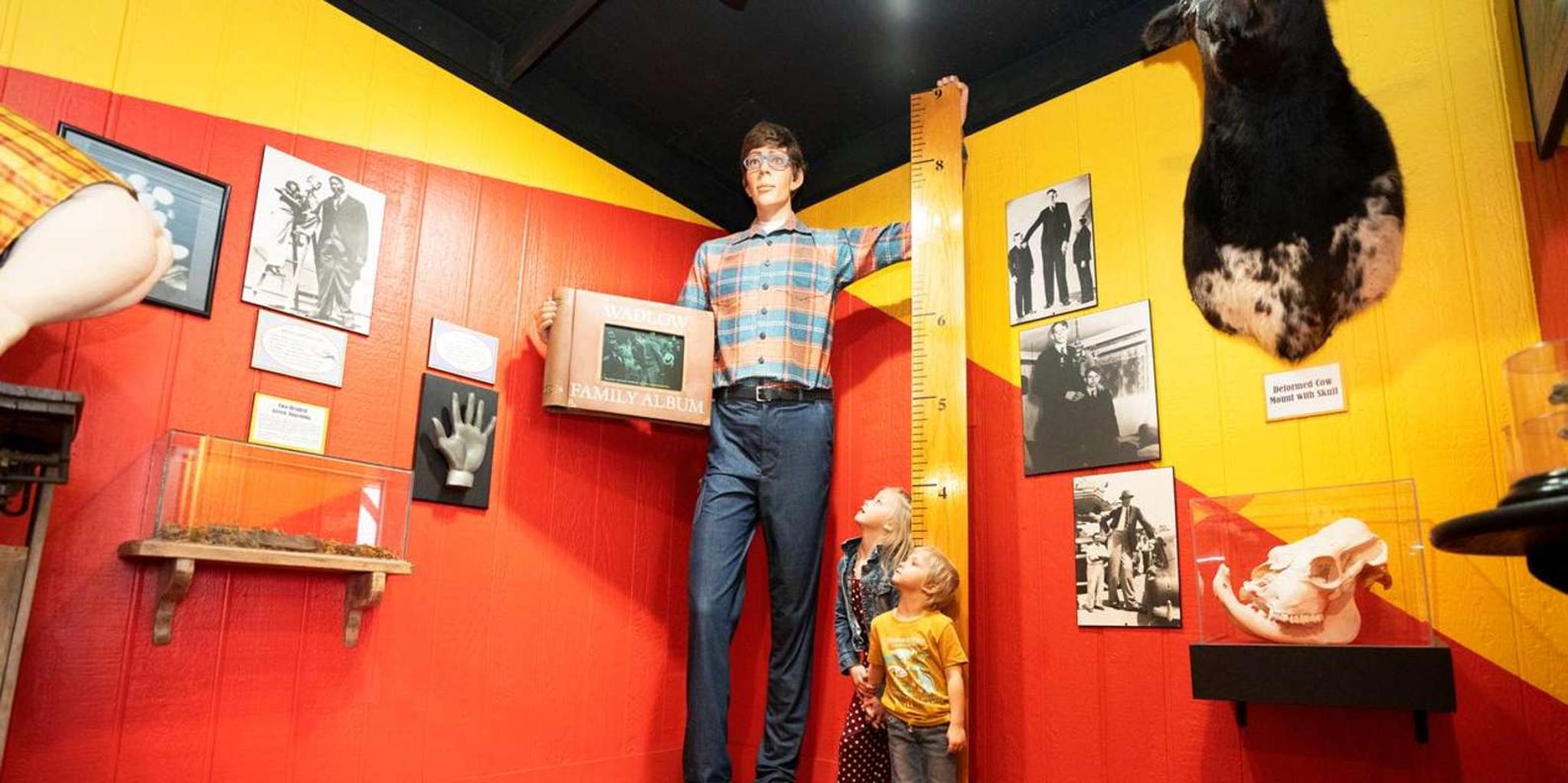 Branson Ripley's Believe It or Not! Admission - Image 3