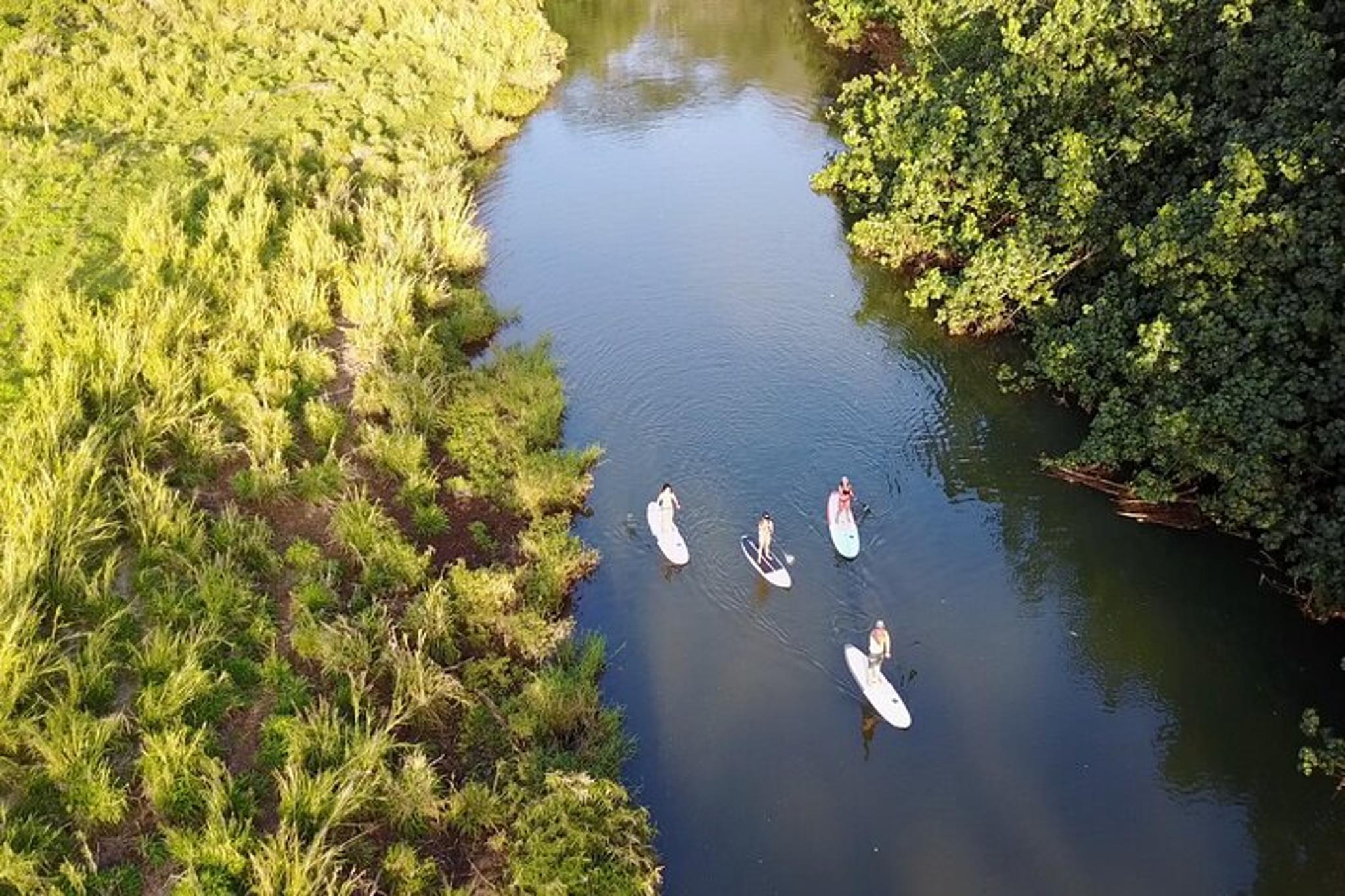 Wailua River Stand Up Paddle Rental - Image 6