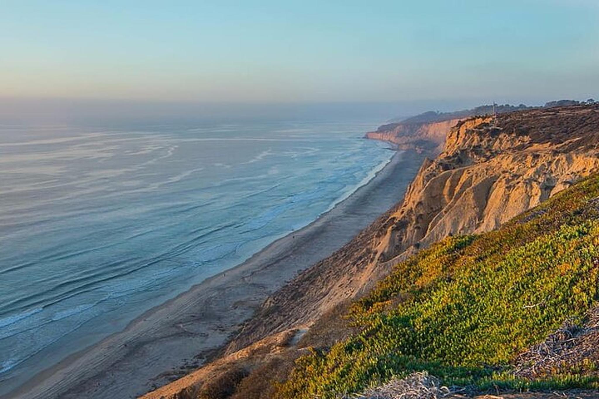 San Diego Coastal Tour with Private Driver