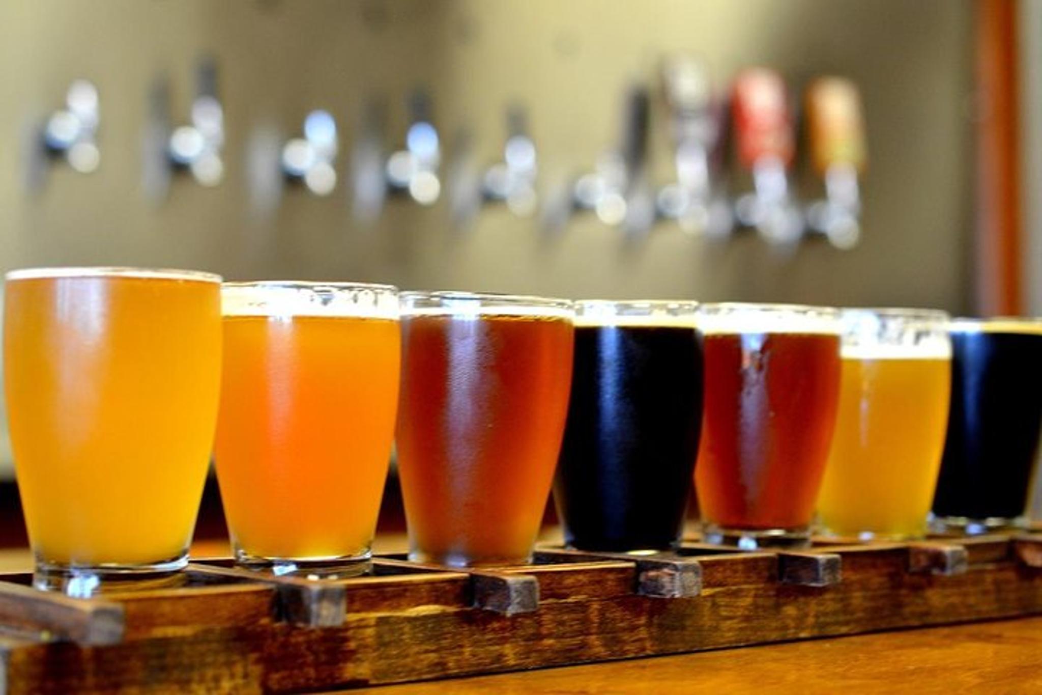 South Orange County Craft Brewery Tour - Image 5