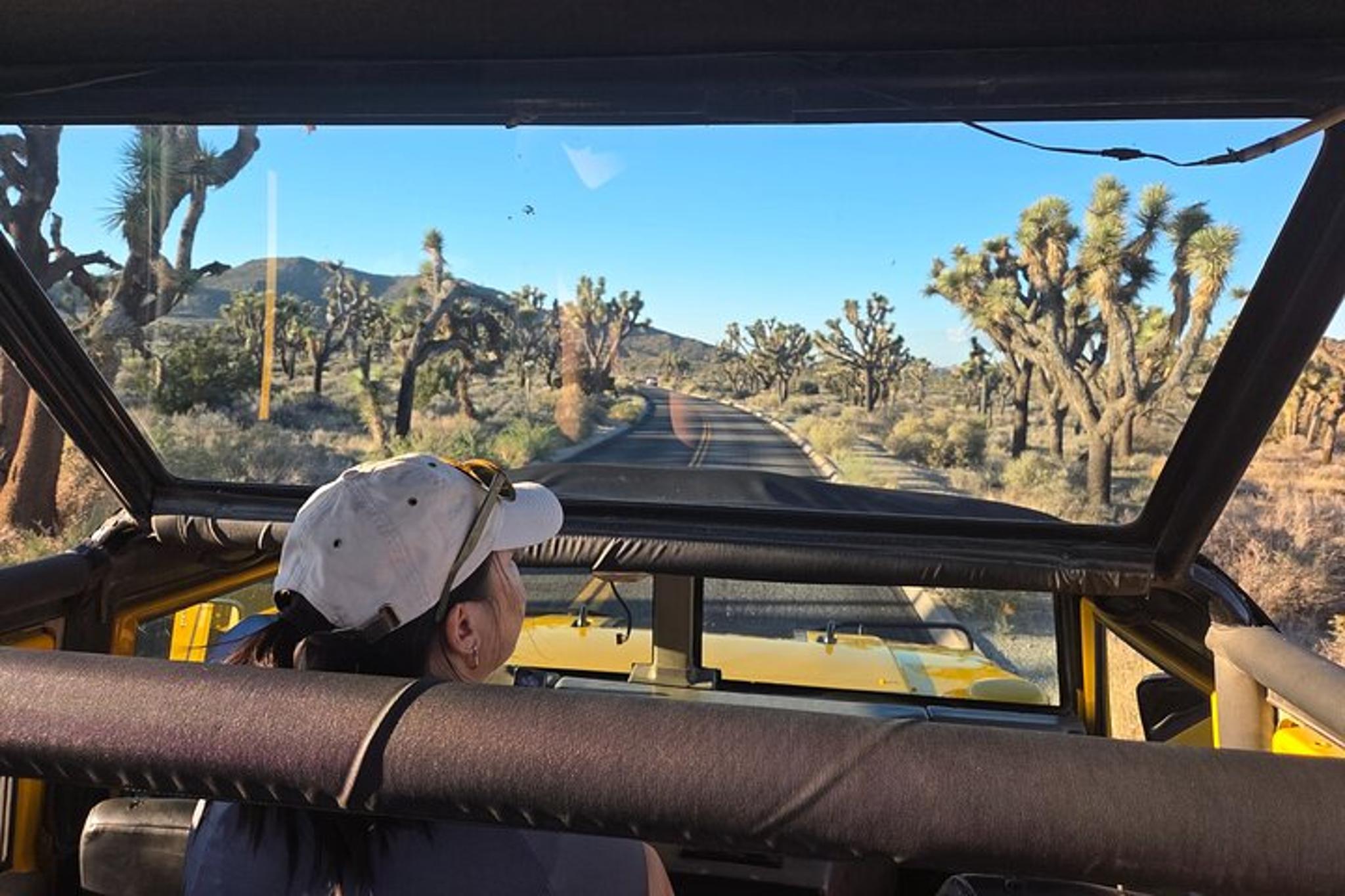 Joshua Tree Open-Air Hummer Adventure - Image 2