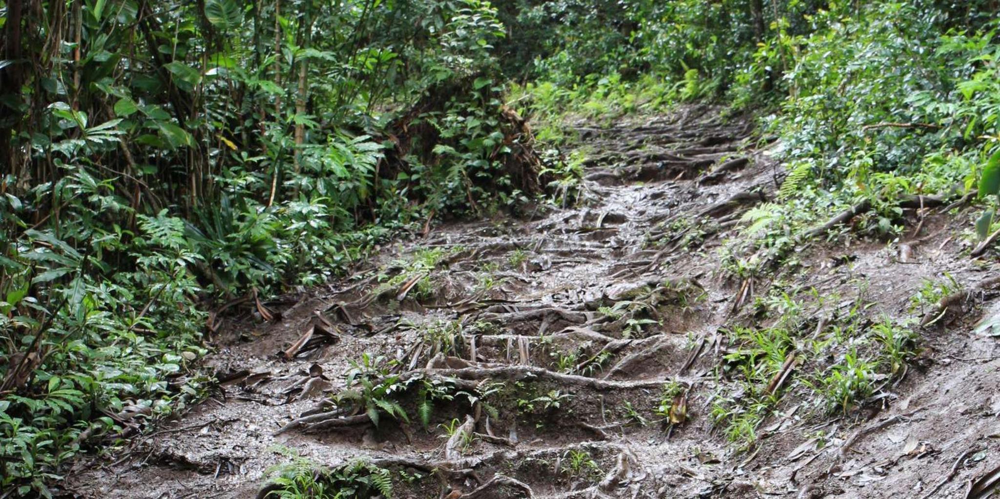 Maui Road to Hana Self-Guided Audio Tour - Image 4