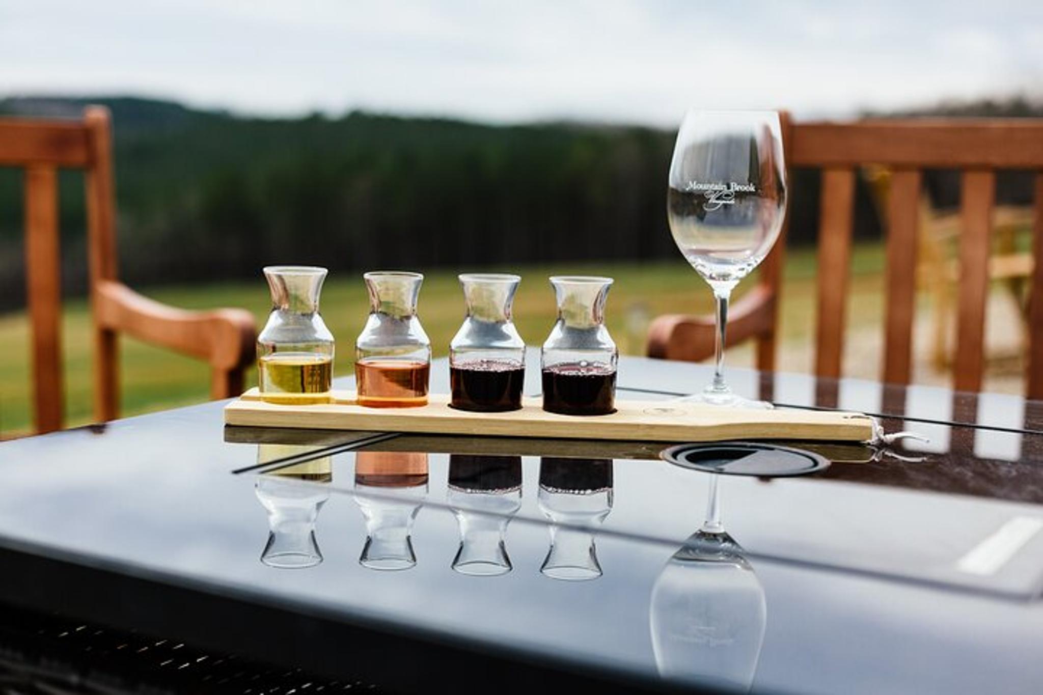 Western NC Vineyard Wine Tour - Image 3