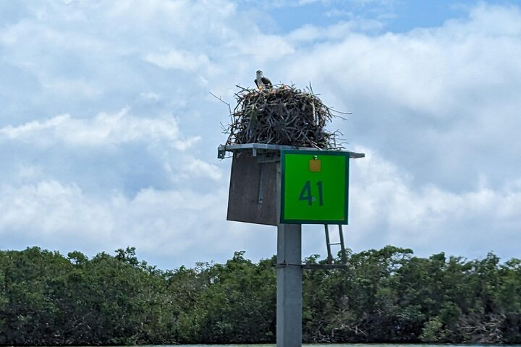 Sarasota Private Boat Tour 3 hr - Image 4