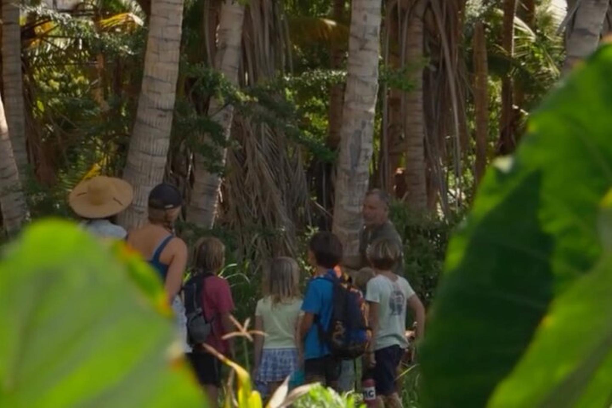 Lahaina Orchard Tour with Fruit Tasting 45 min - Image 3