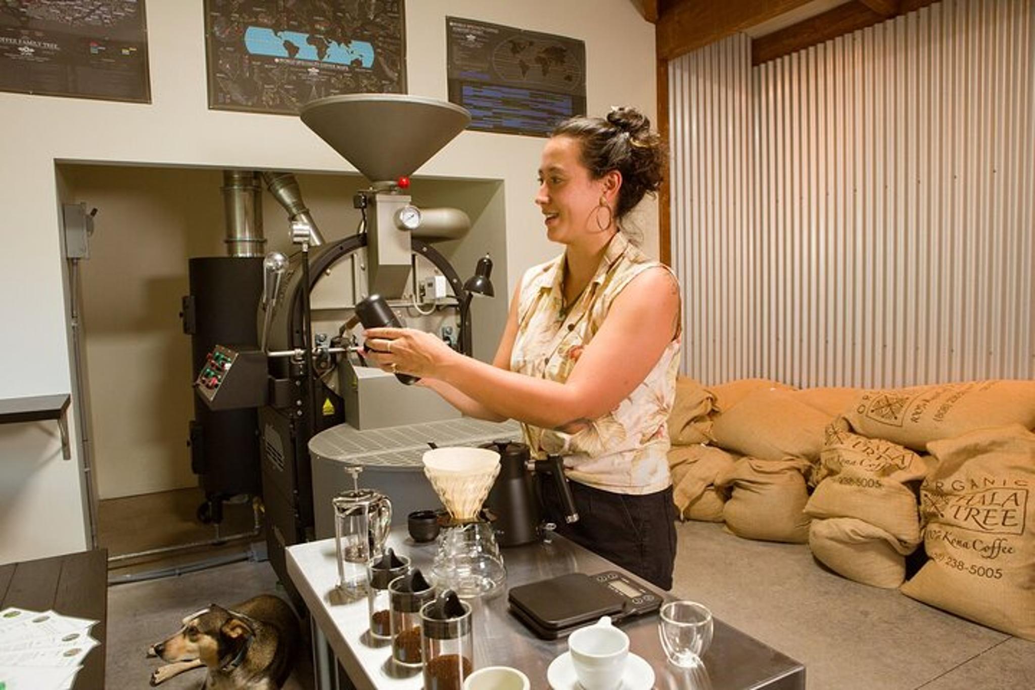 Kona Coffee Brewing Workshop - Image 2