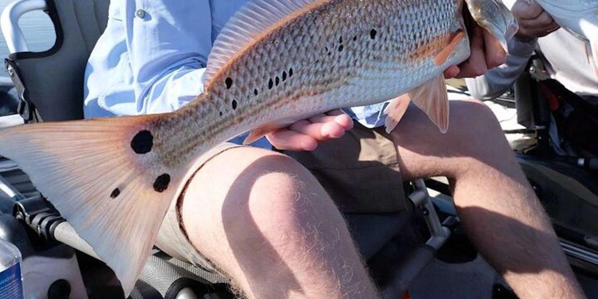 New Orleans Kayak Fishing in Bayou Bienvenue - Image 3