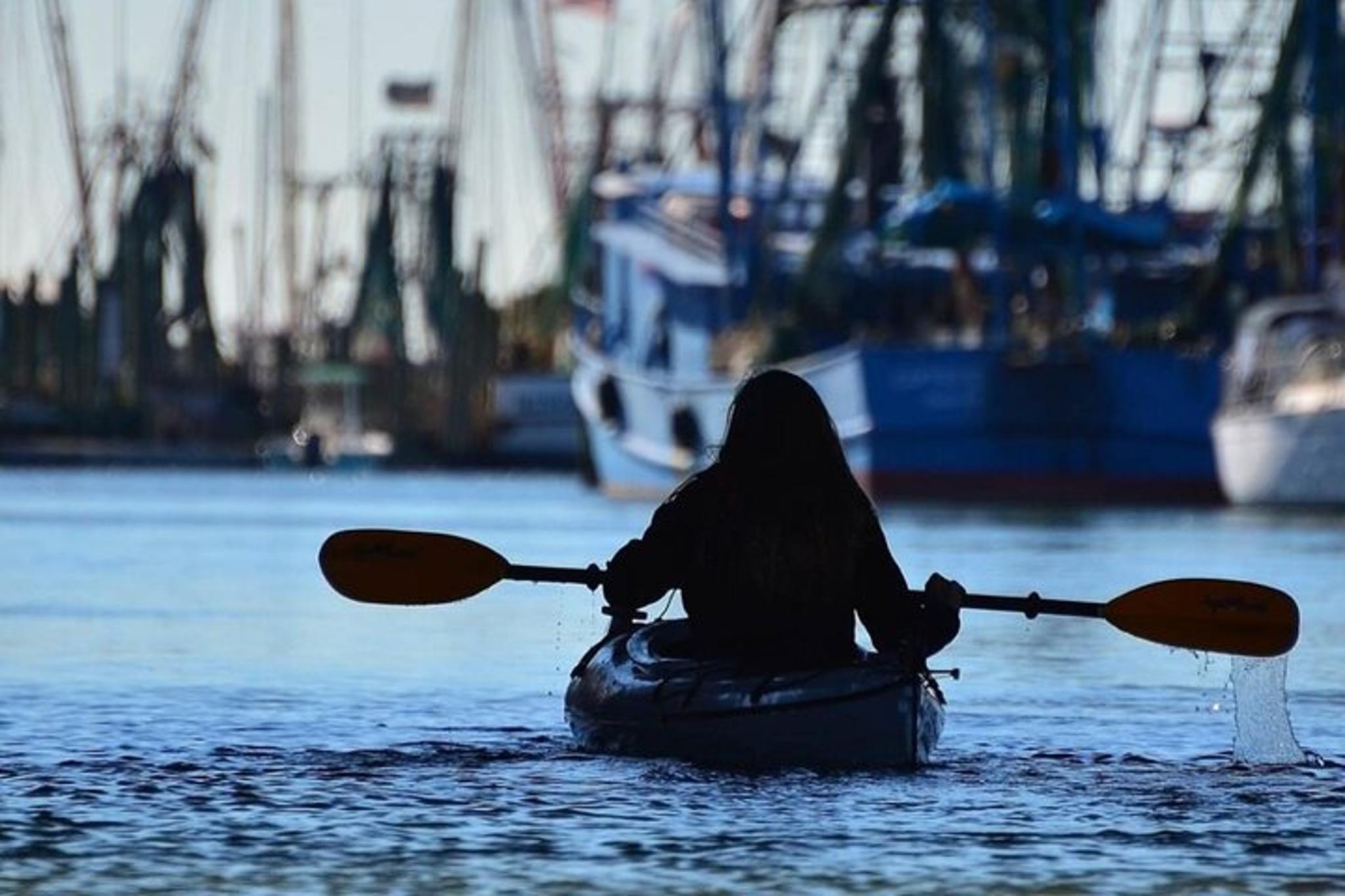 Charleston Kayak Tour with Dolphins in Shem Creek - Image 2