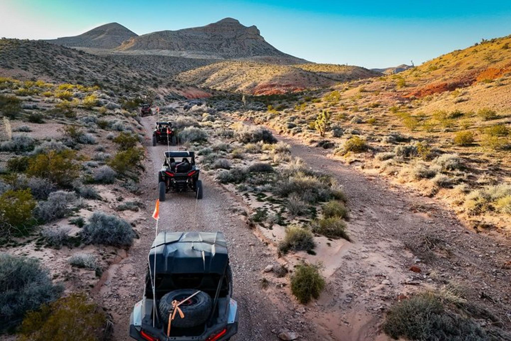 Las Vegas Desert RZR Adventure - Image 6