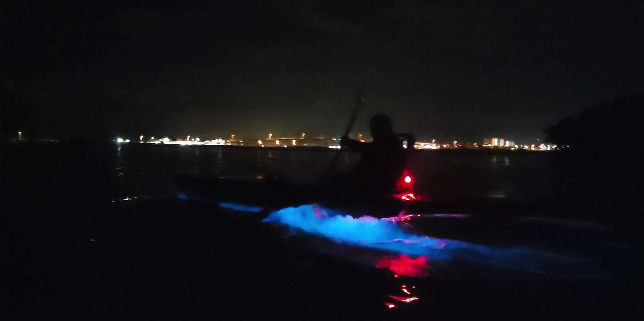 Orlando Bioluminescence Kayak Adventure - Image 6