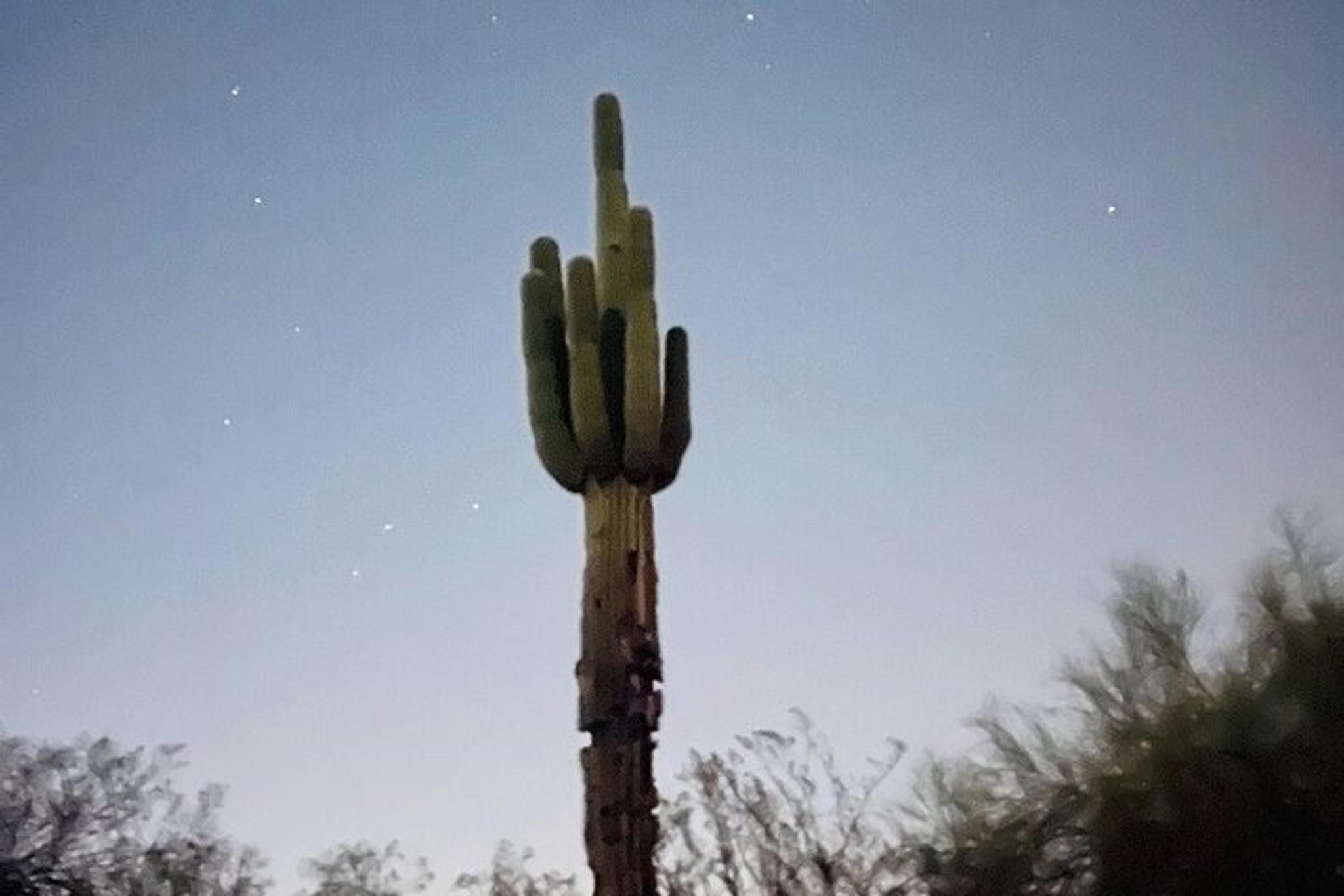 Phoenix Night Glow Hike - Image 5