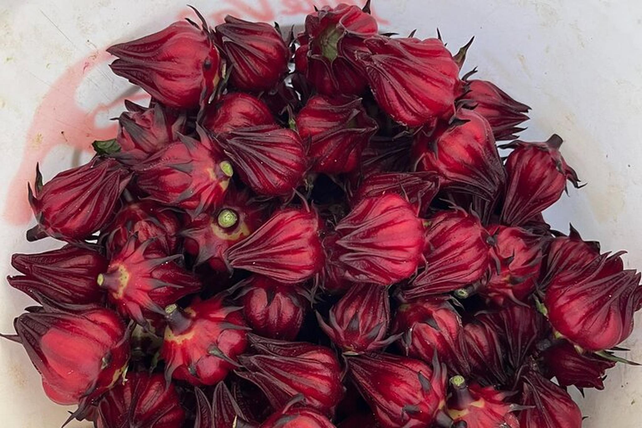 Honokaa Edible Hibiscus Farm Tour 90 Min - Image 6