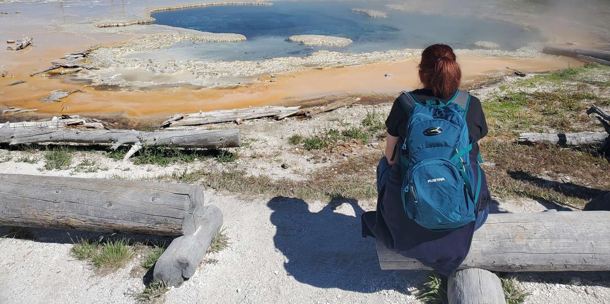 Yellowstone Upper Geyser Basin Hike with Lunch - Image 2