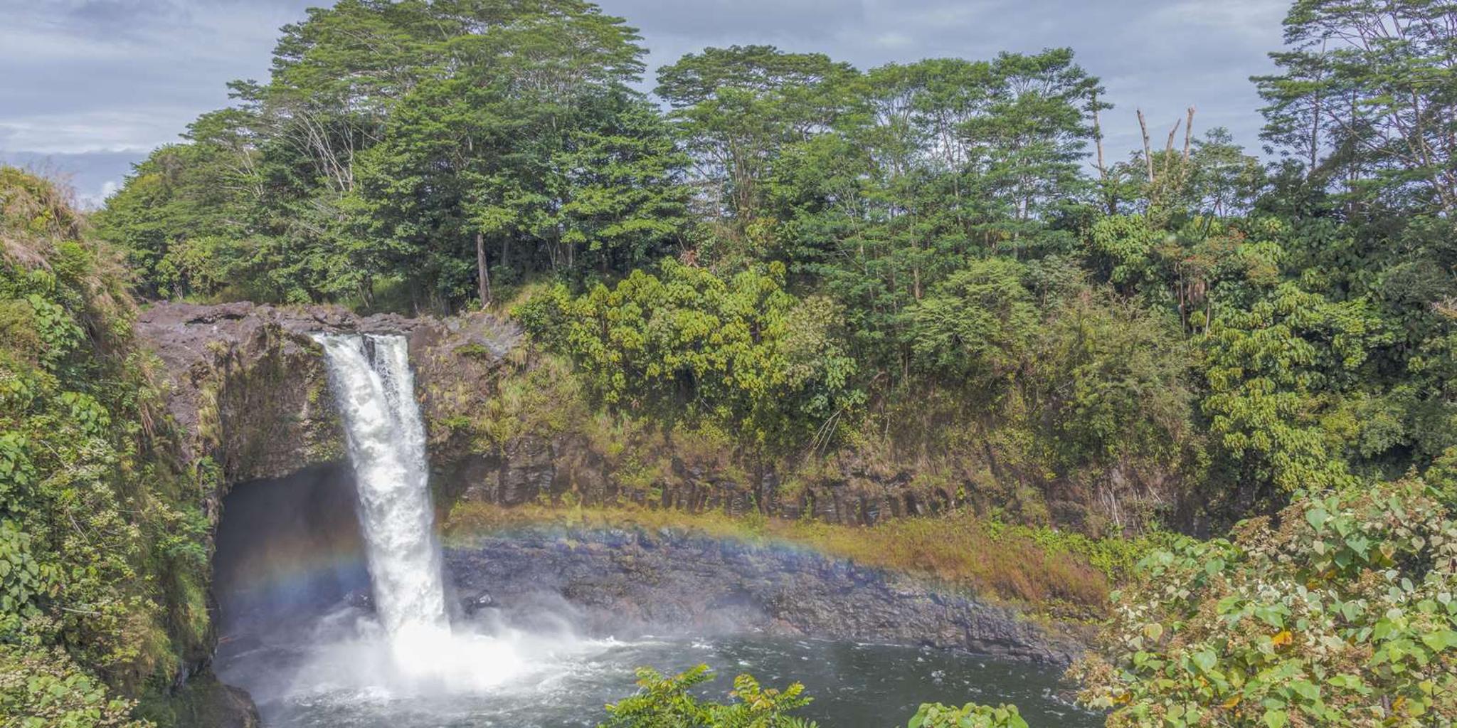 Hilo Botanical Gardens and Waterfalls Tour - Image 4