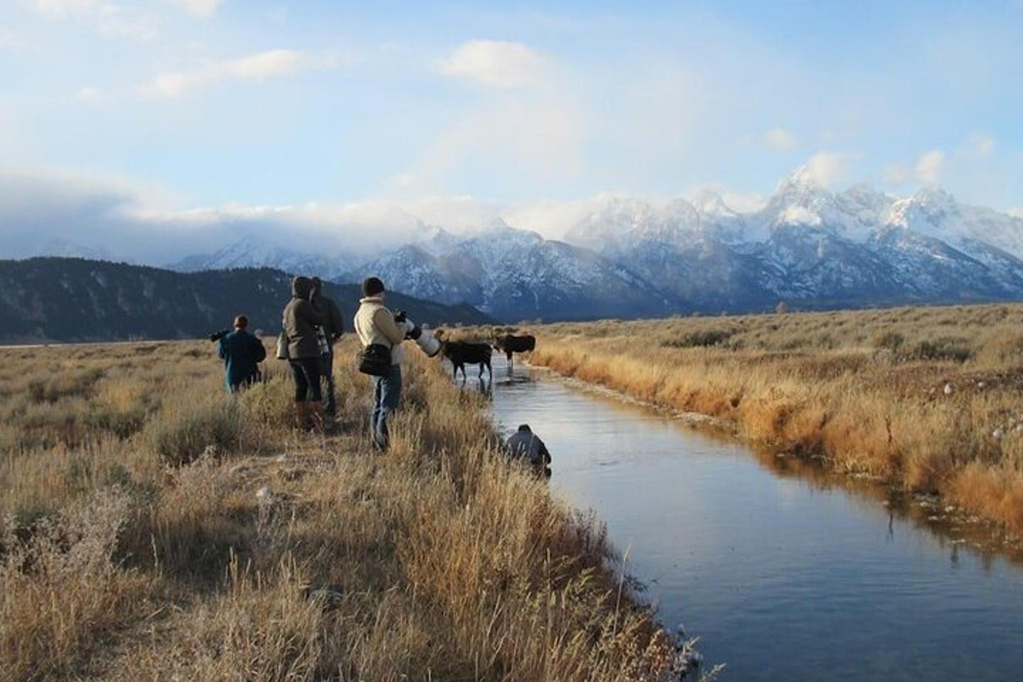 Grand Teton Wildlife Private Guided Tour - Image 2