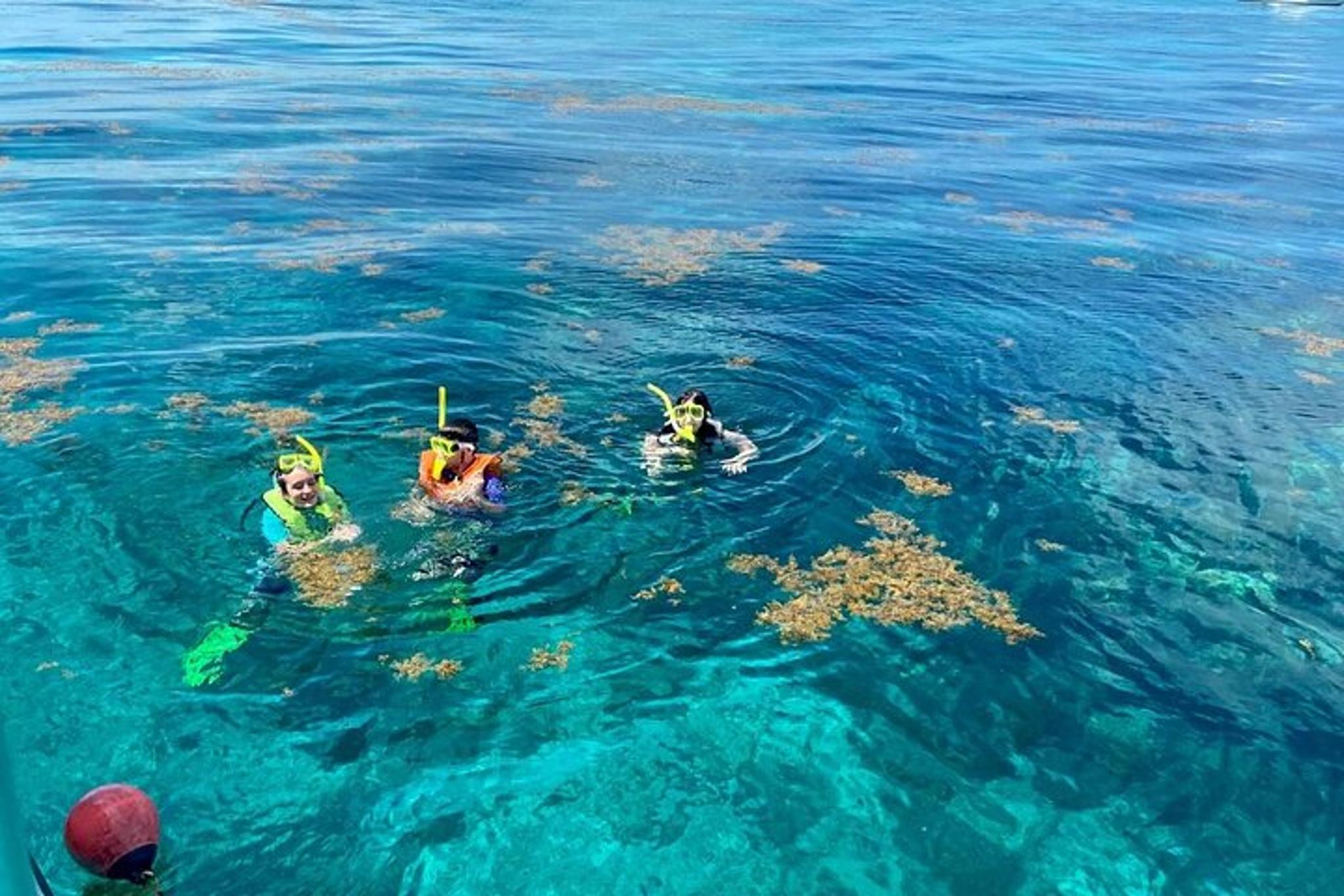 Key Largo Snorkeling and Scuba Reef Trip - Image 5