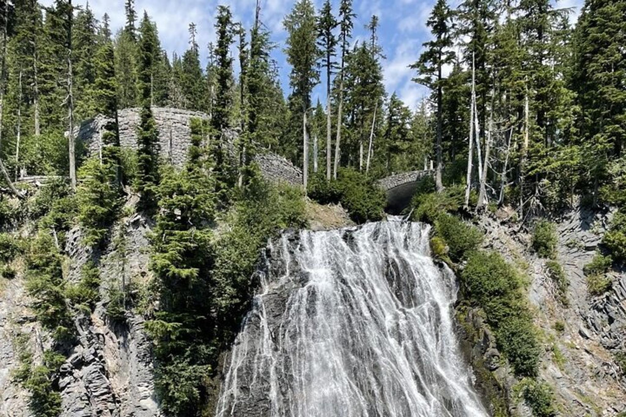 Mt. Rainier National Park Tour with Local Guide - Image 4