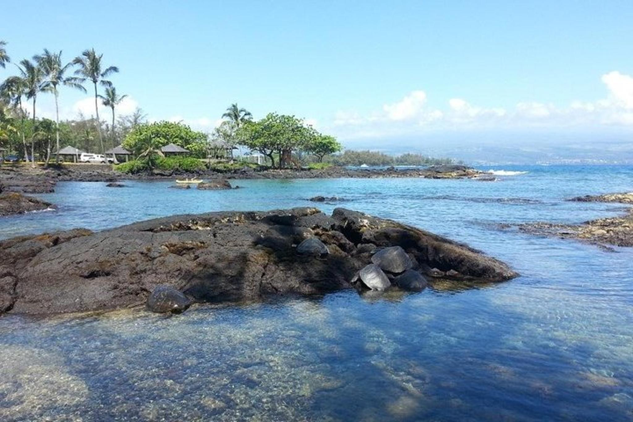 Hilo Volcano Adventure & Waterfall Tour - Image 6