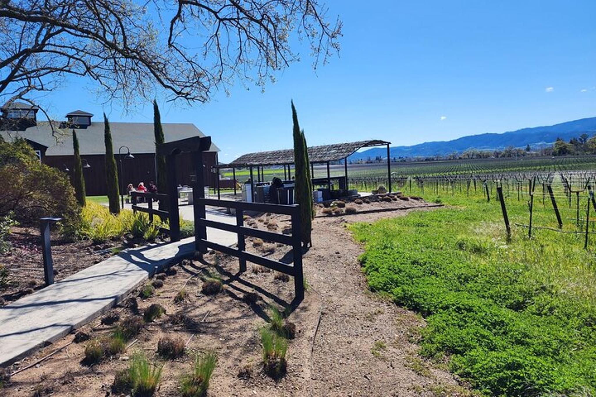 Sonoma Napa Champagne Wine Tour Half Day - Image 6