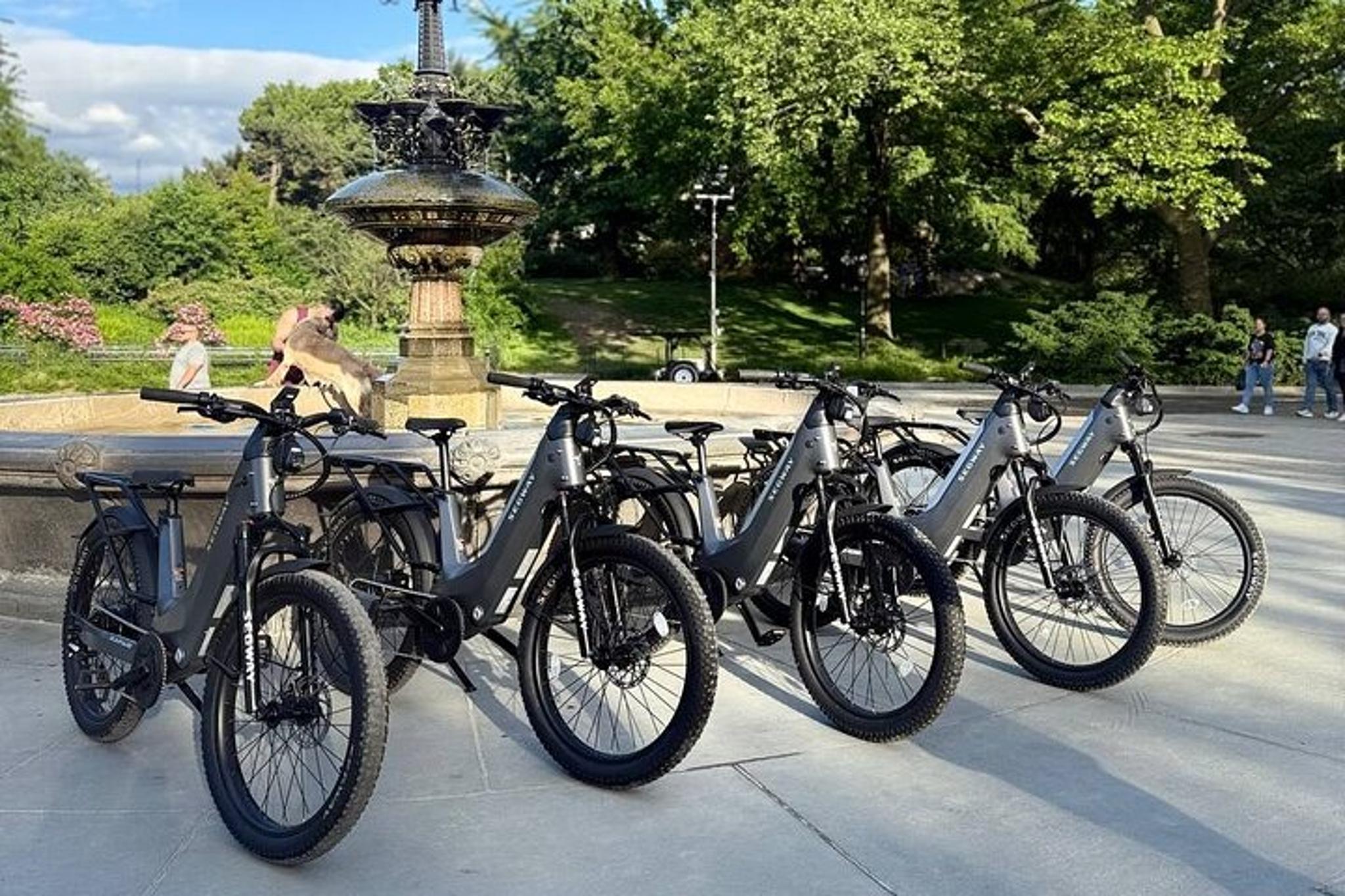 New York City Electric Bike Tour of Central Park - Image 2