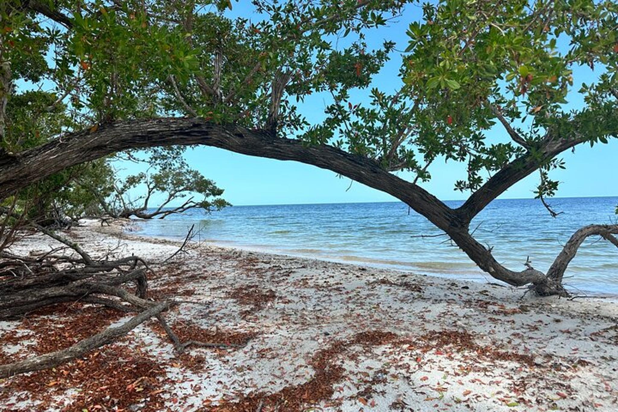 Everglades Pirate and Beach Adventure - Image 2